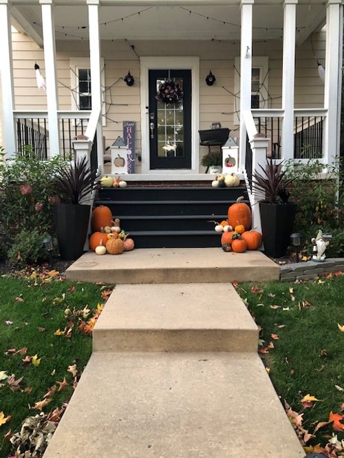 Classic Pumpkin Package.jpg