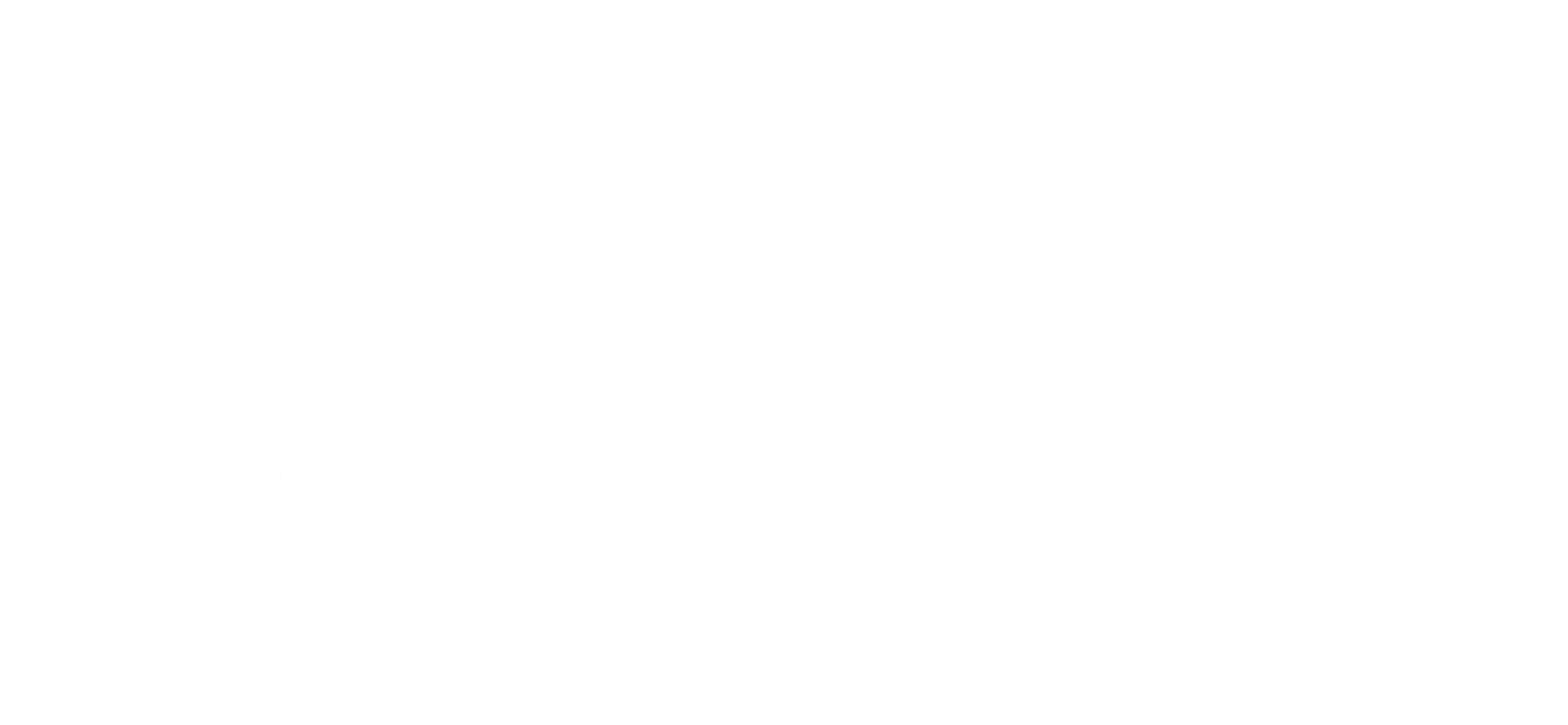 Lou &amp; Langley Design Co.
