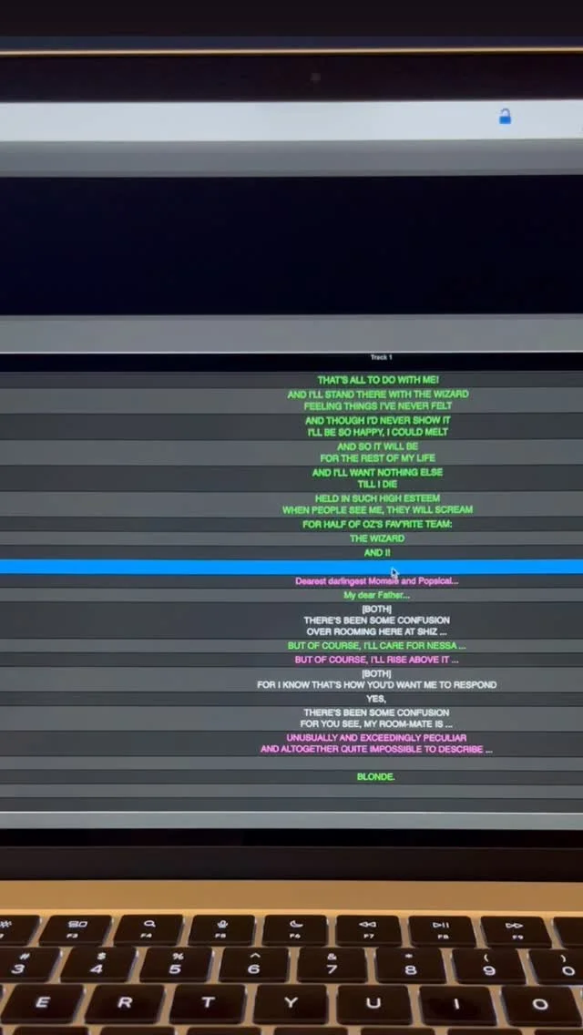 Part of our process for having a CDI (Certified Deaf Interpreter) on the team is creating captions to function as a teleprompter. This helps to make sure the team is following the pacing set by actors on stage. We are experimenting with color-coding