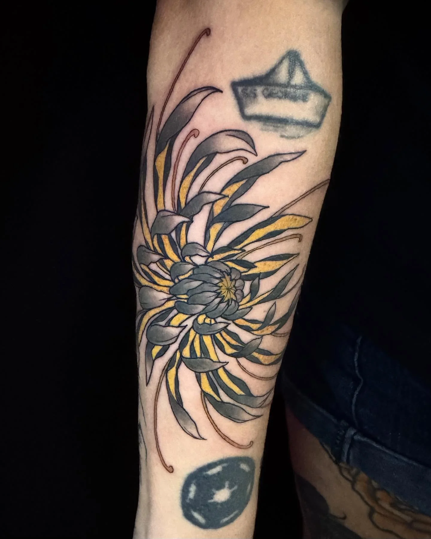 Tattoos done by our resident artist @black_magnolia_tattoo ✶ Click the link in his bio to book your next appointment!