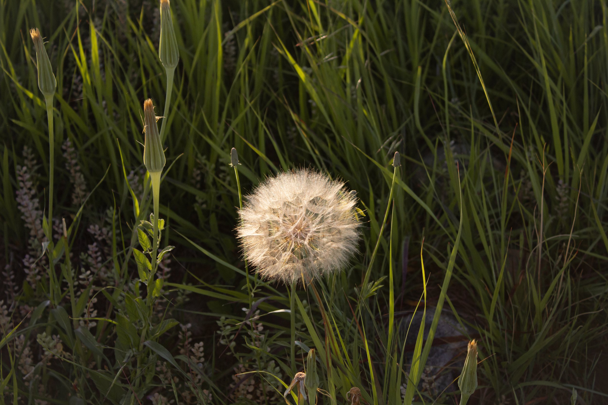 Portfolio-08.jpg