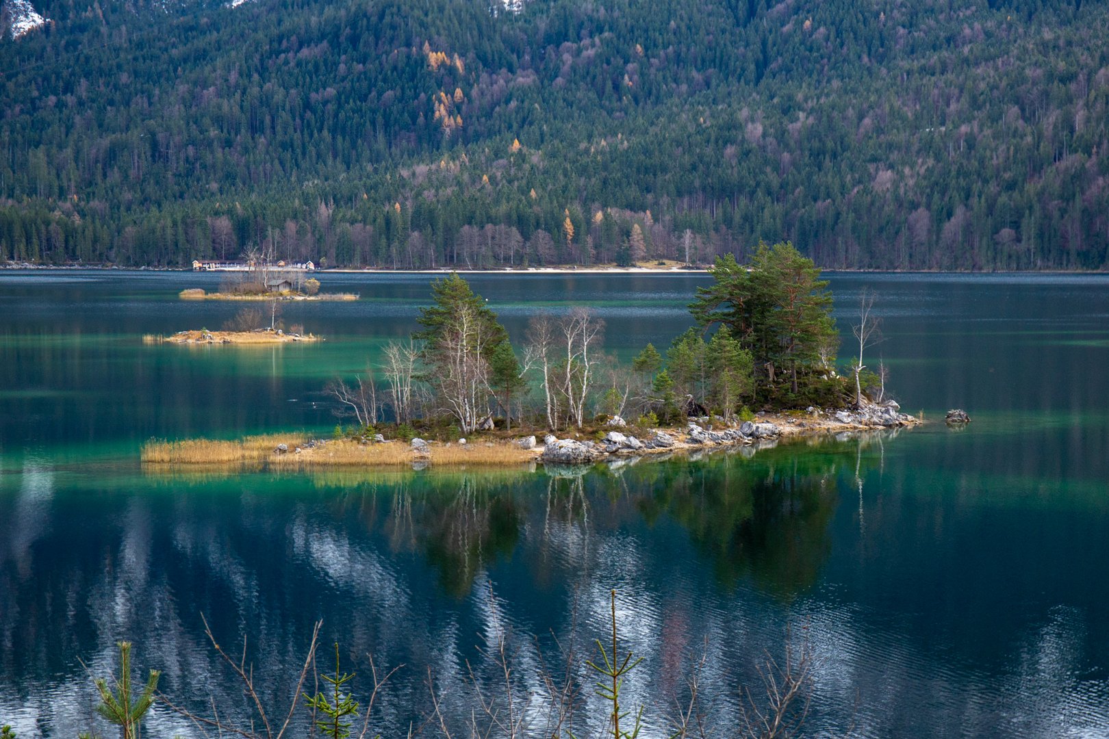 P19C9009.jpg
