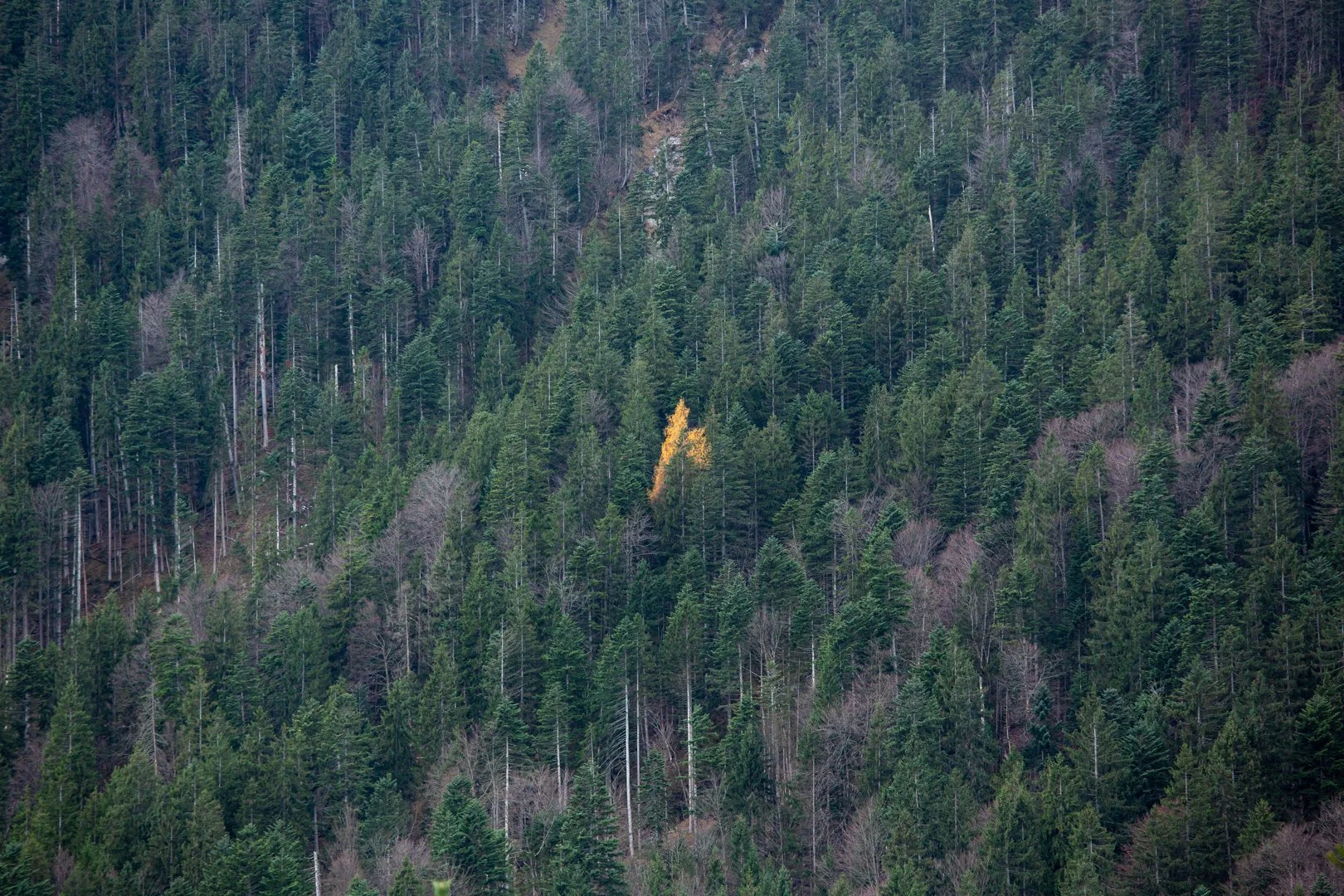 P19C9016.jpg