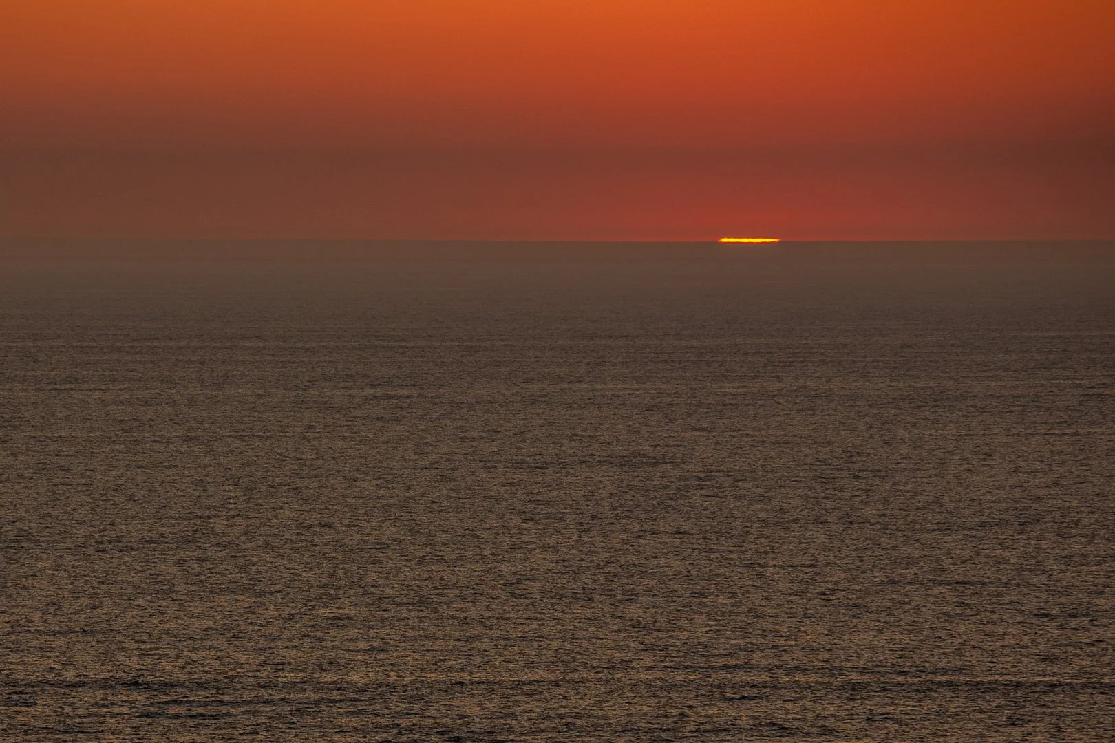 ManuelF_2019_0873©Manuel Firmino.jpg