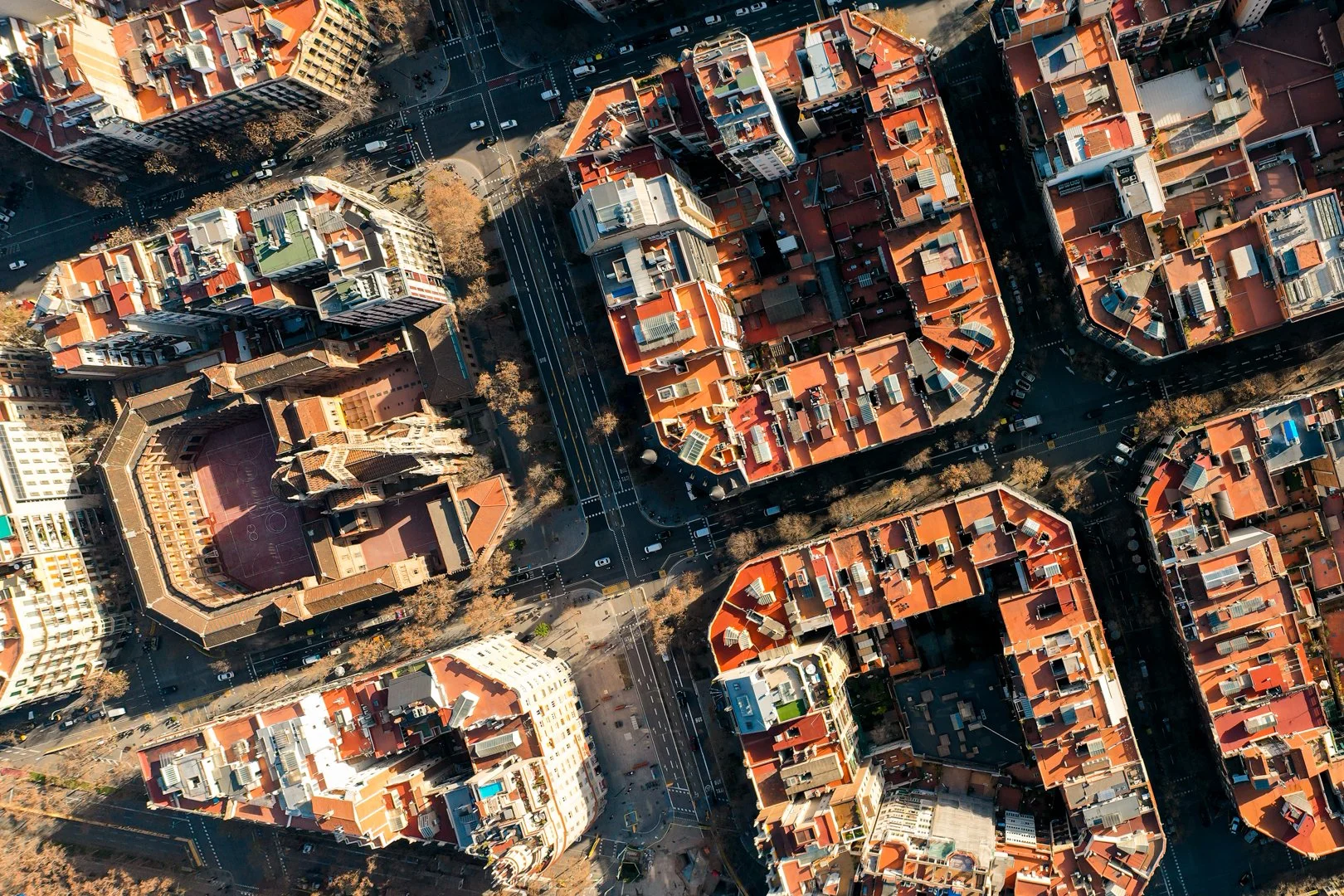DJI_0893.jpg