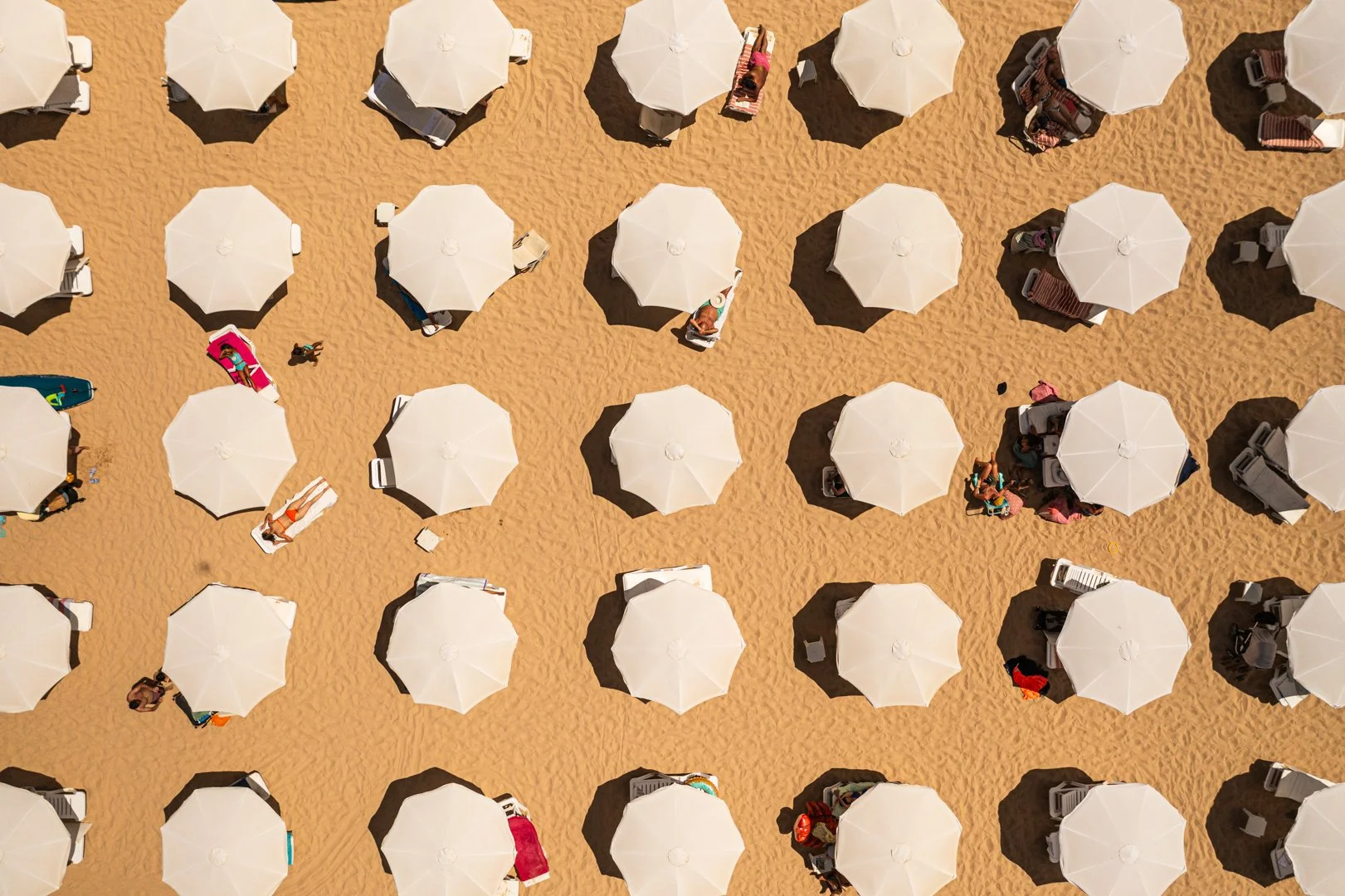 DJI_0330.jpg