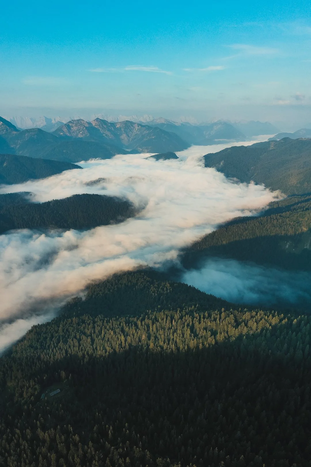 DJI_0138.jpg