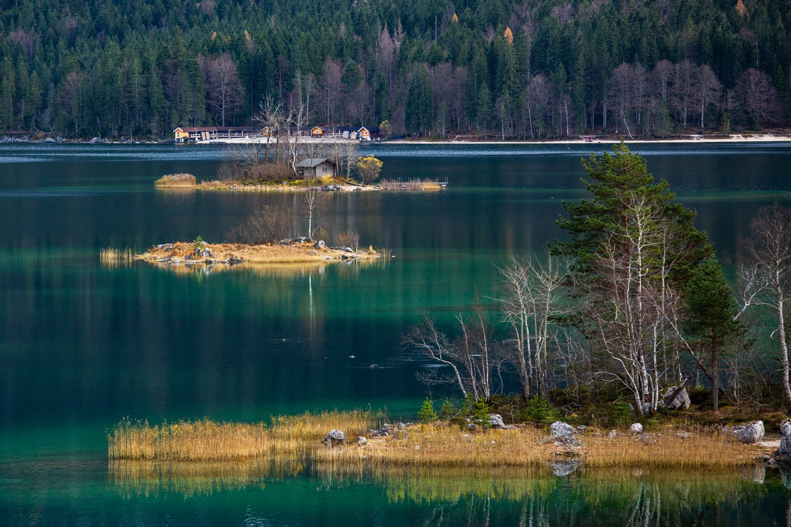 P19C9021.jpg