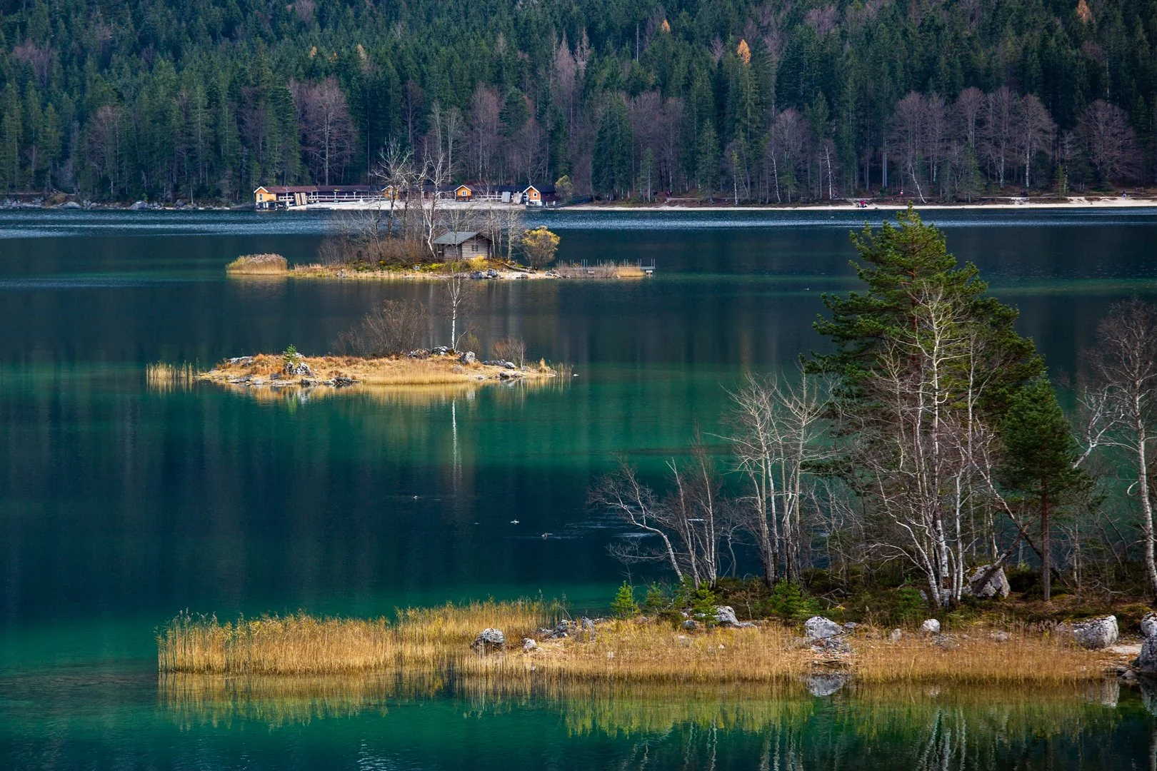 P19C9021.jpg