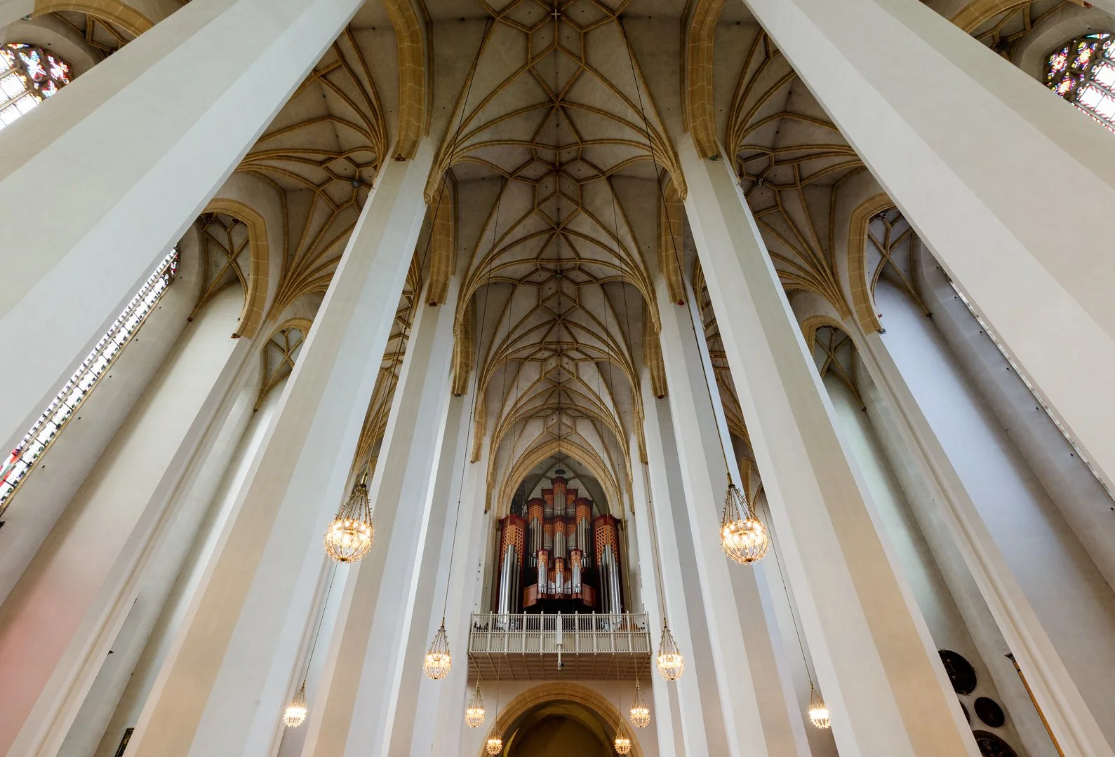 P19C6818.jpg