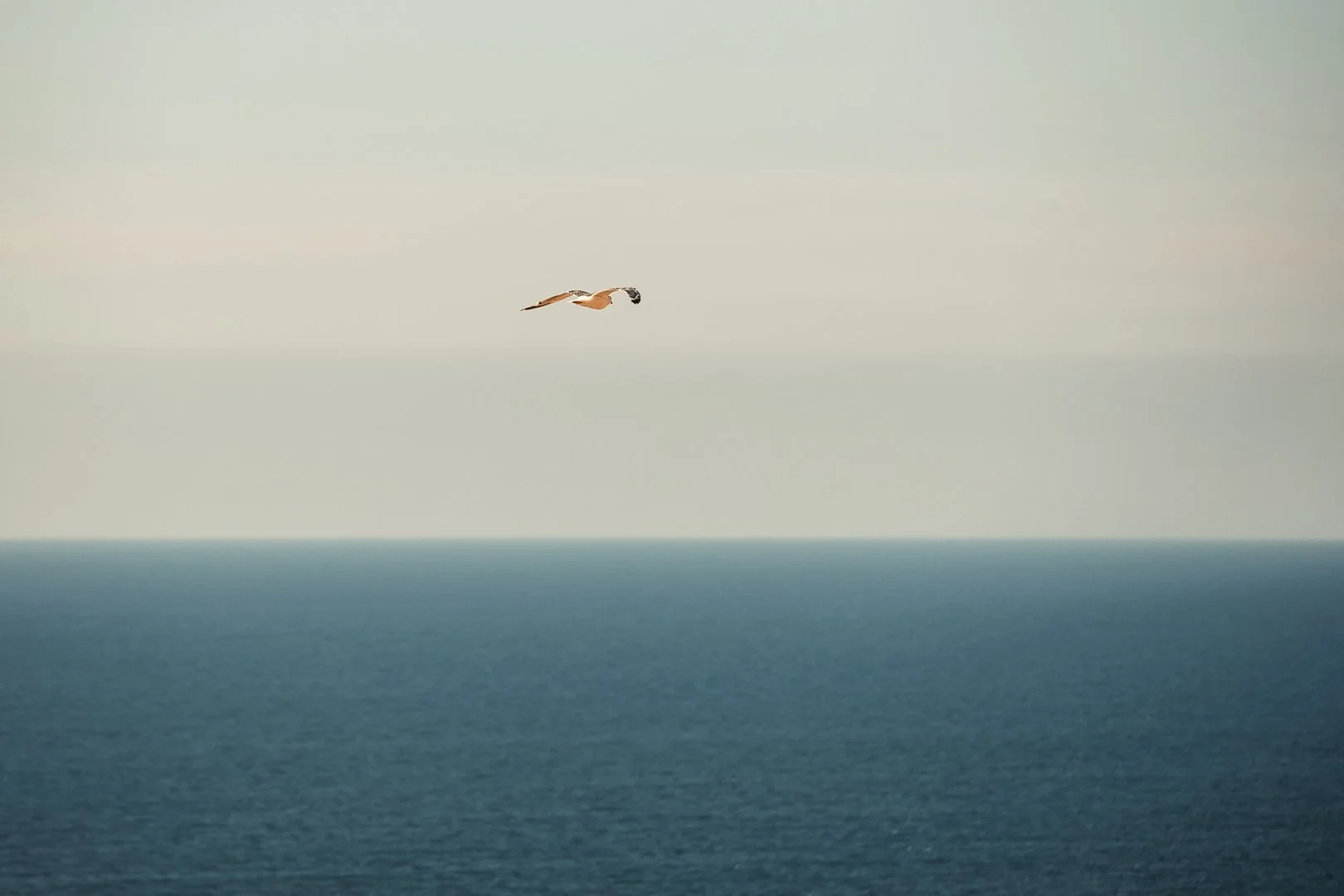 ManuelF_2019_1486©Manuel Firmino.jpg