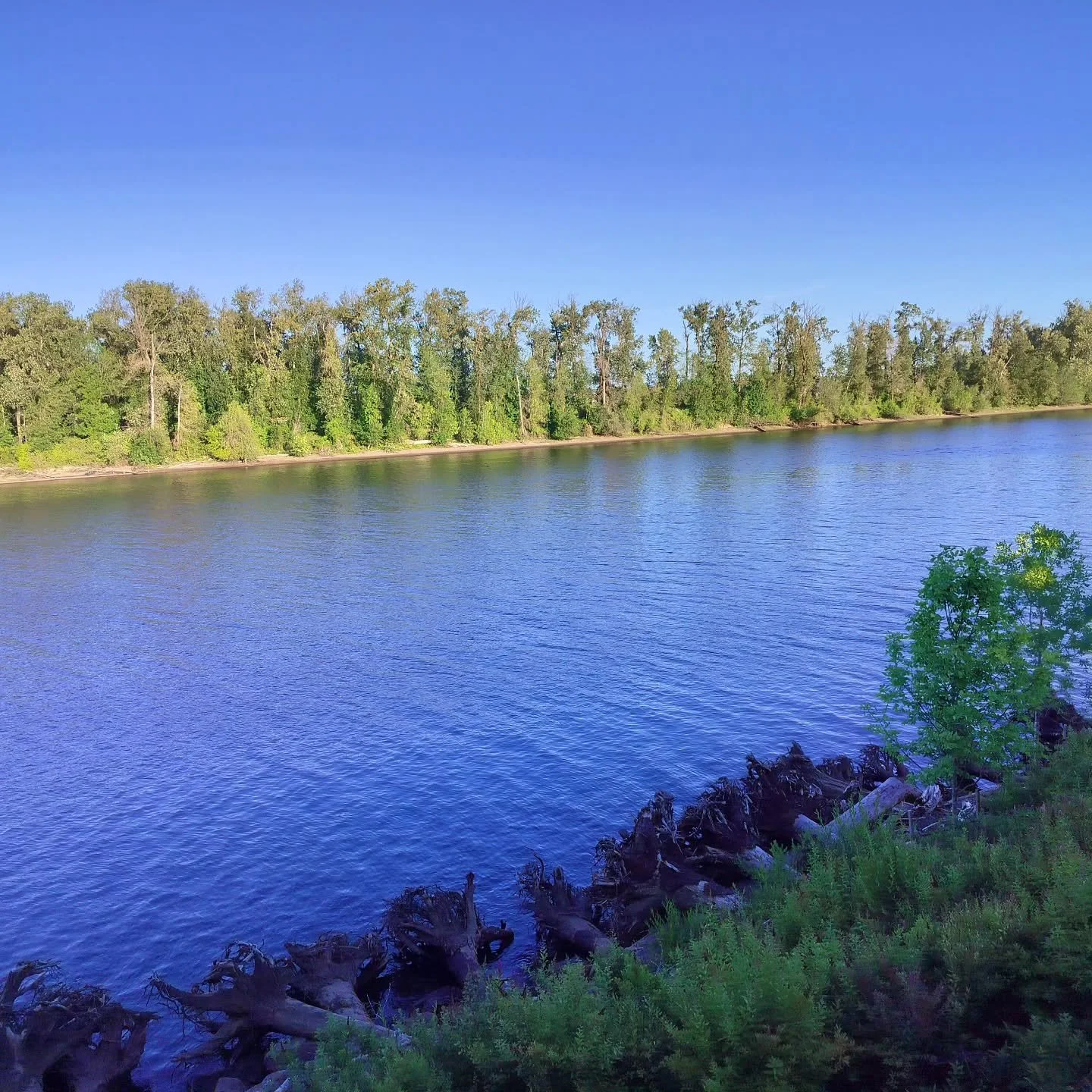 ☀️ Summer is here! Time to soak up the sunshine, slow down a little, and savor the simple things &mdash; like iced drinks, longer evenings, and spontaneous adventures. 🌿🌊
It's not uncommon to feel a mood shift in the change of seasons.

What&rsquo;