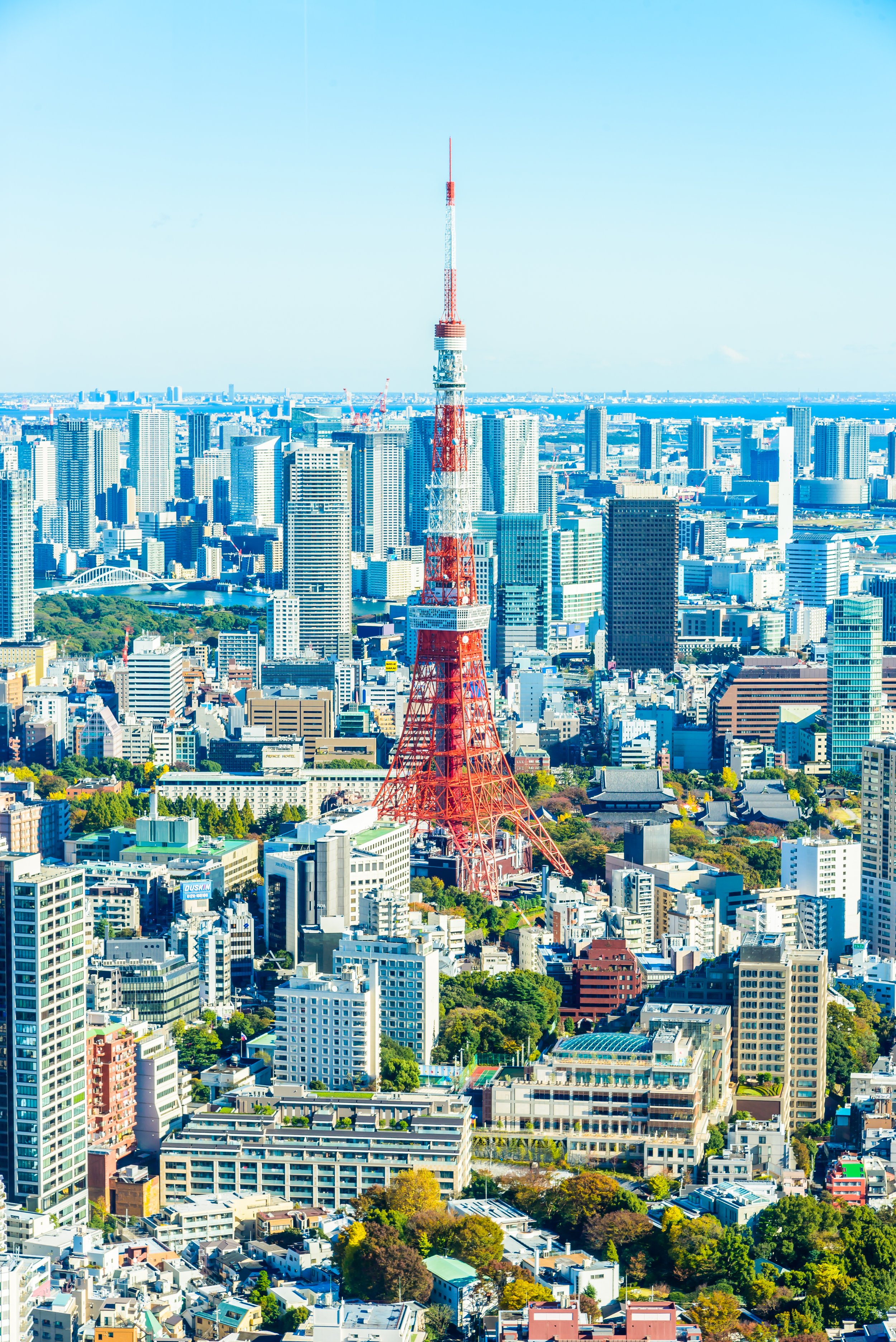 tall-sky-district-tokyo-light.jpg