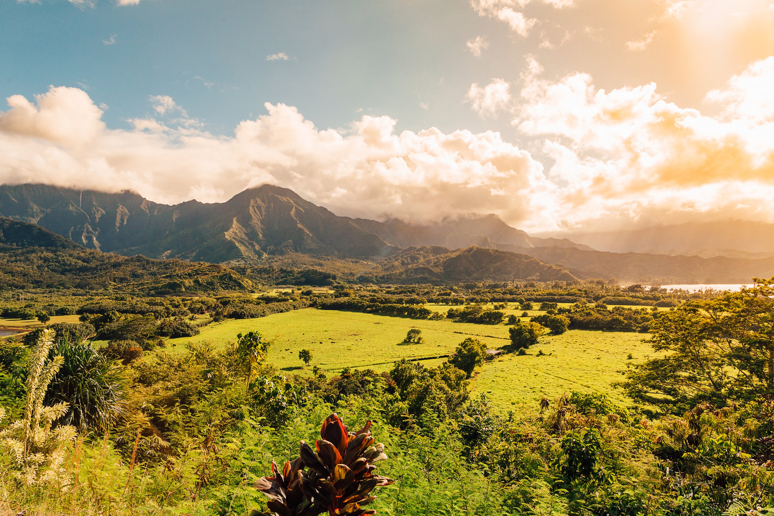 panoramic-shot-beautiful-nature-kauai-island-hawaii.jpg