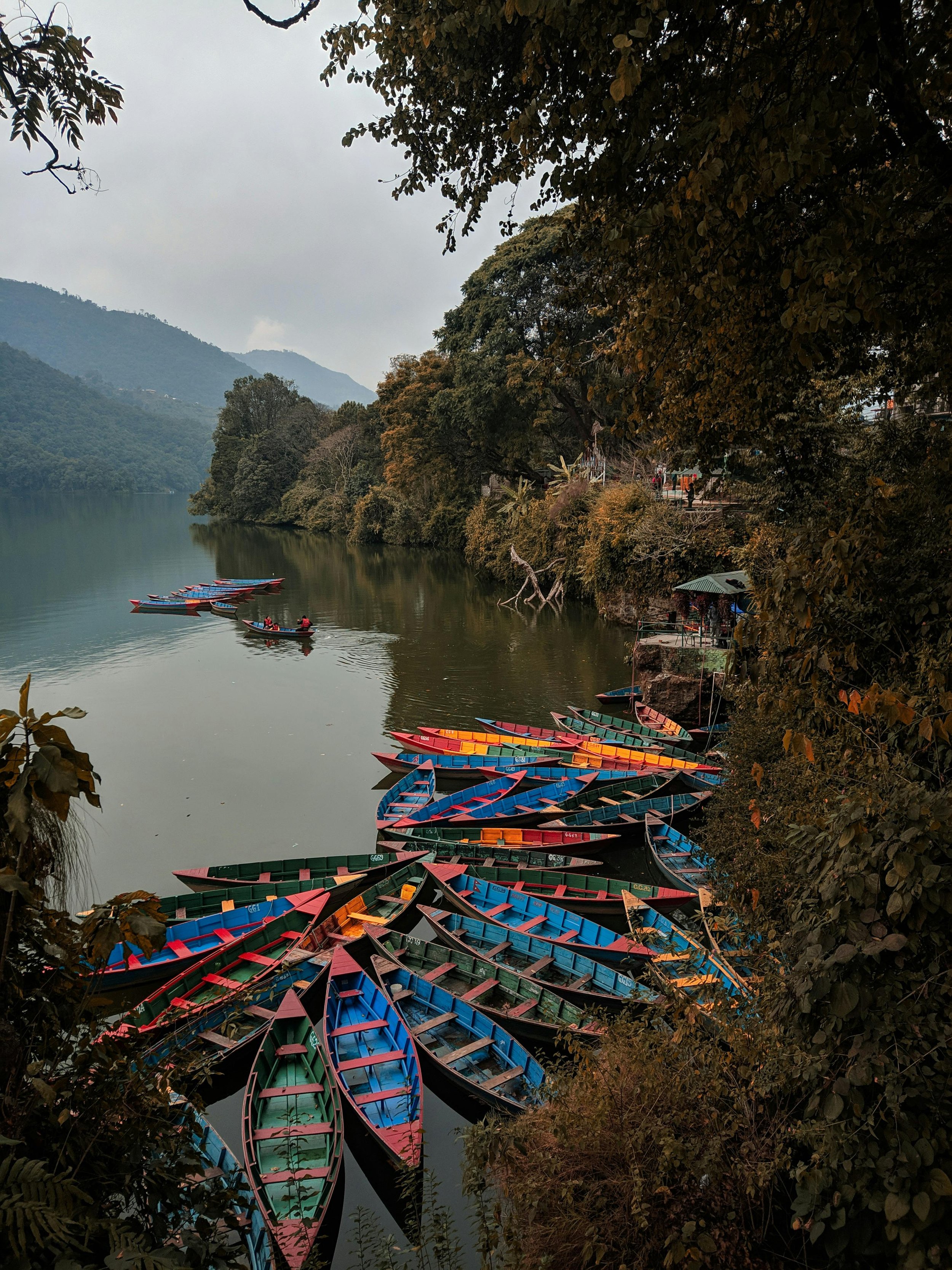 pexels-sagargnawali-10809409.jpg