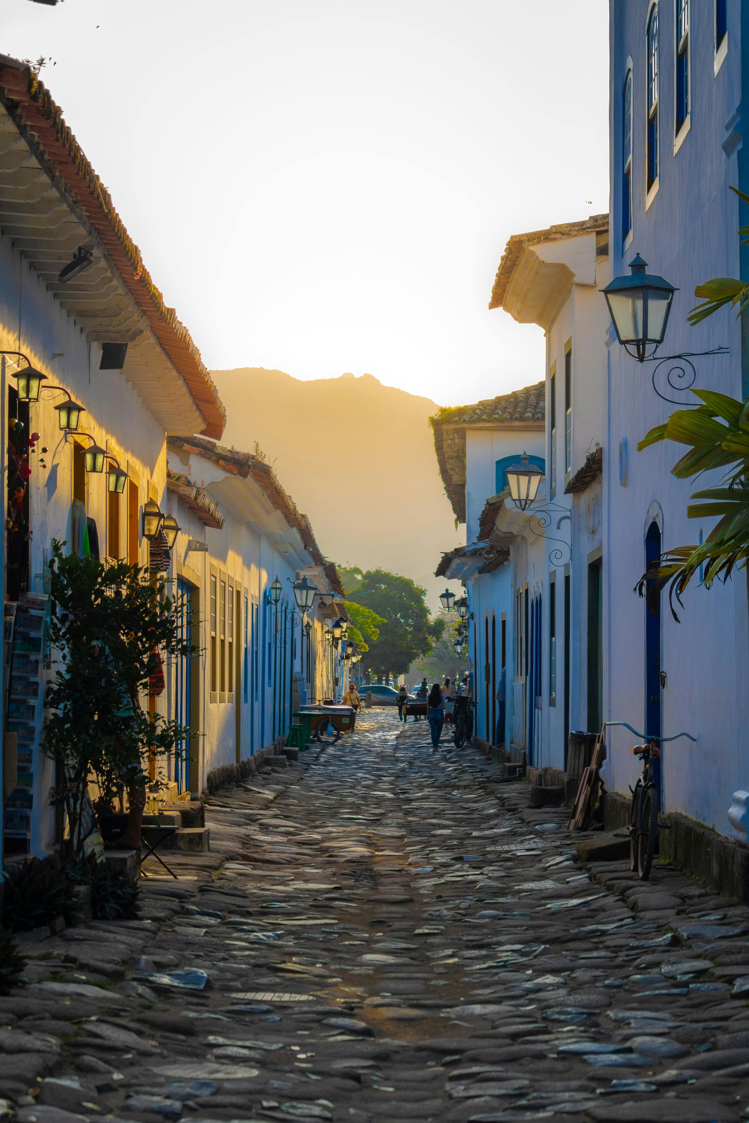 pexels-pedro-dias-301815069-13373510.jpg