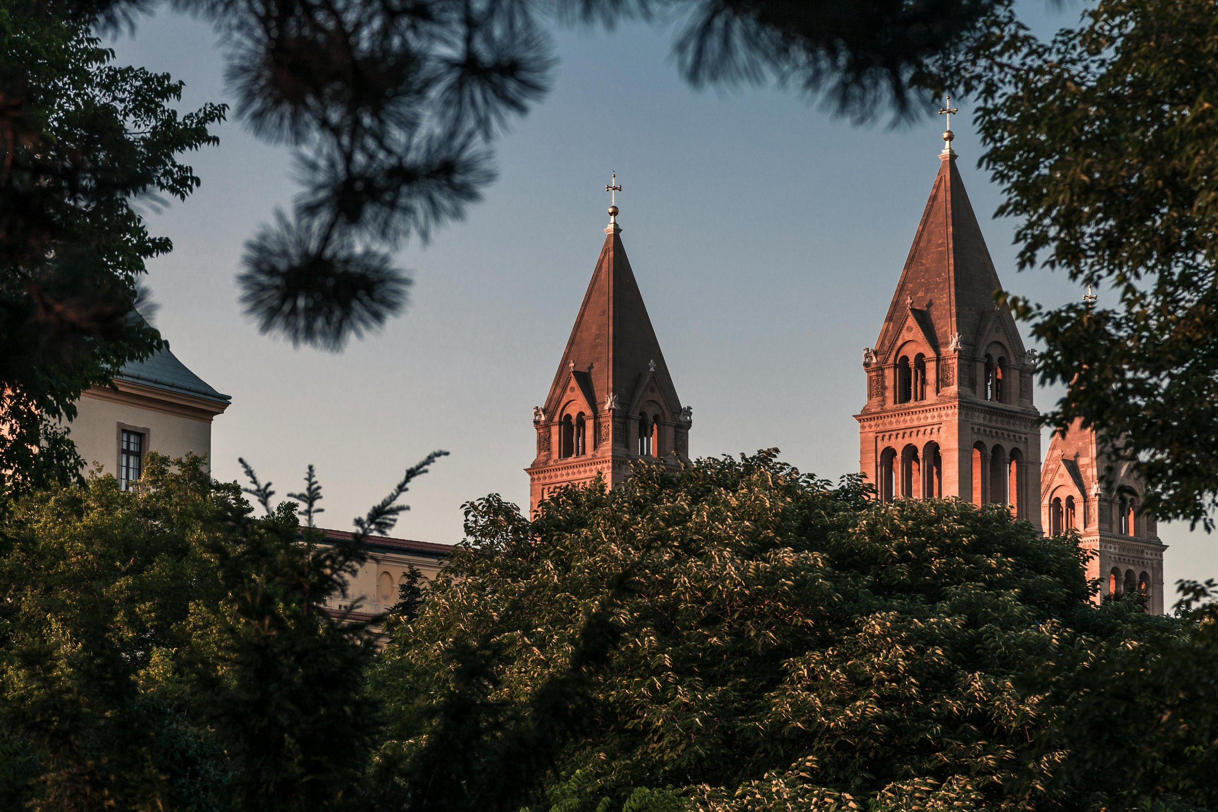 pexels-peterfazekas-1322067.jpg