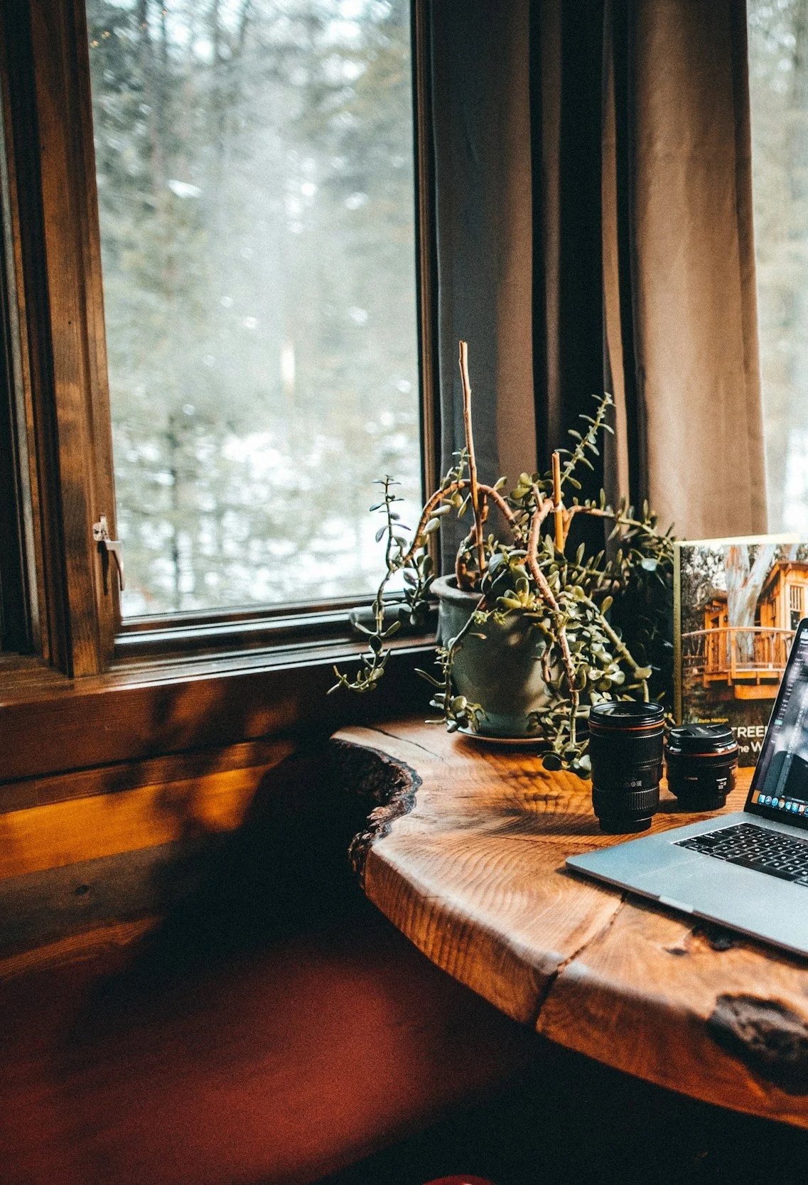 Desk in cozy cabin surrounded by natural wood and plants, with a laptop on the desk indicating online therapy in California.