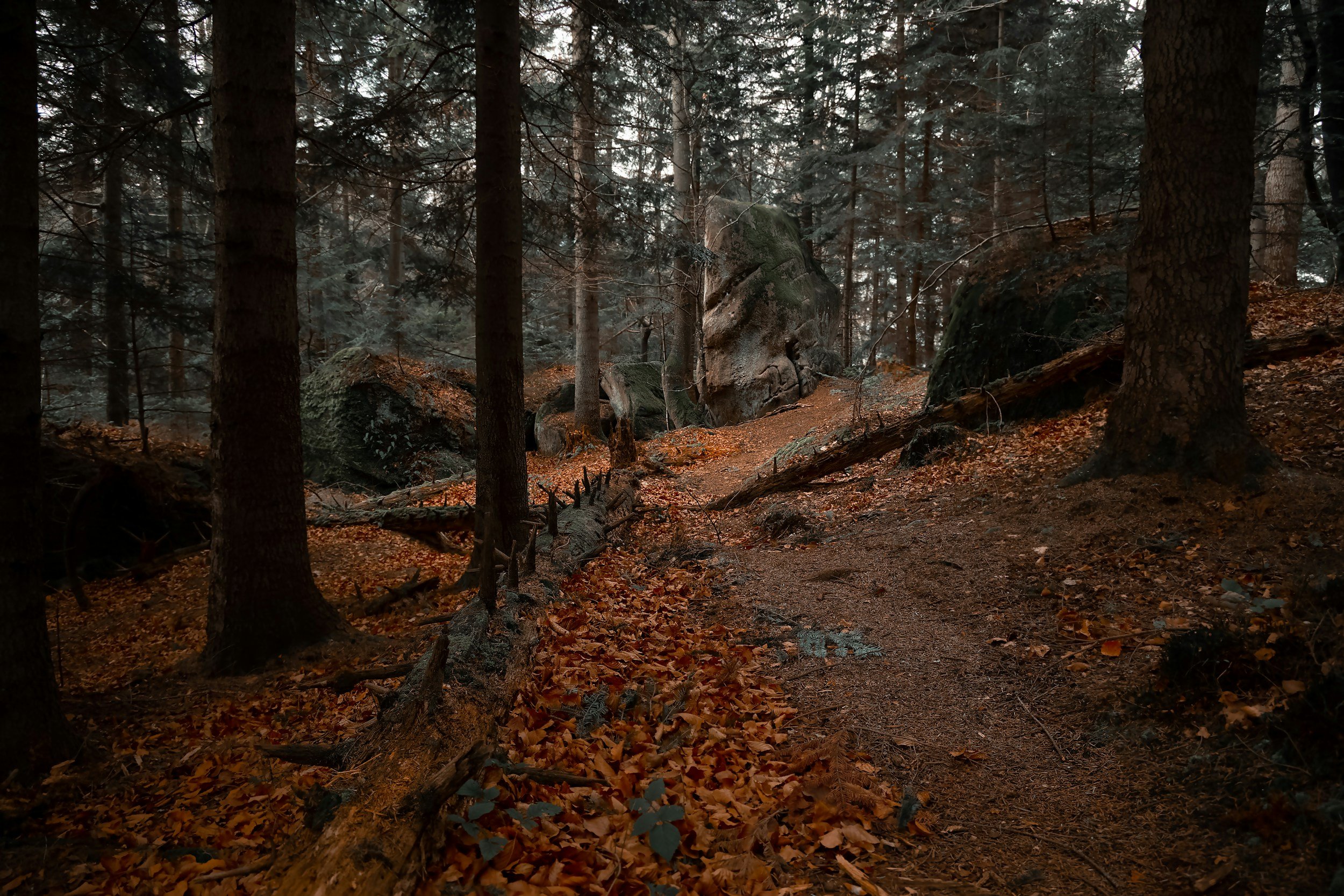 Why You Might Feel Sad or Low in November (and How to Know If It’s Seasonal or Something More)