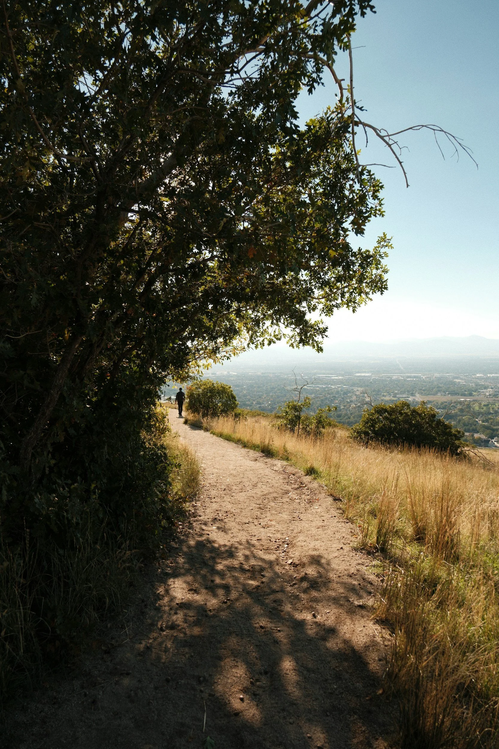 A dirt trail in a hilly area surrounded by grass and trees, with a person walking in the distance and a view of distant cityscape and mountains under a clear blue sky. Representing the journey of therapy and a hopeful path forward.