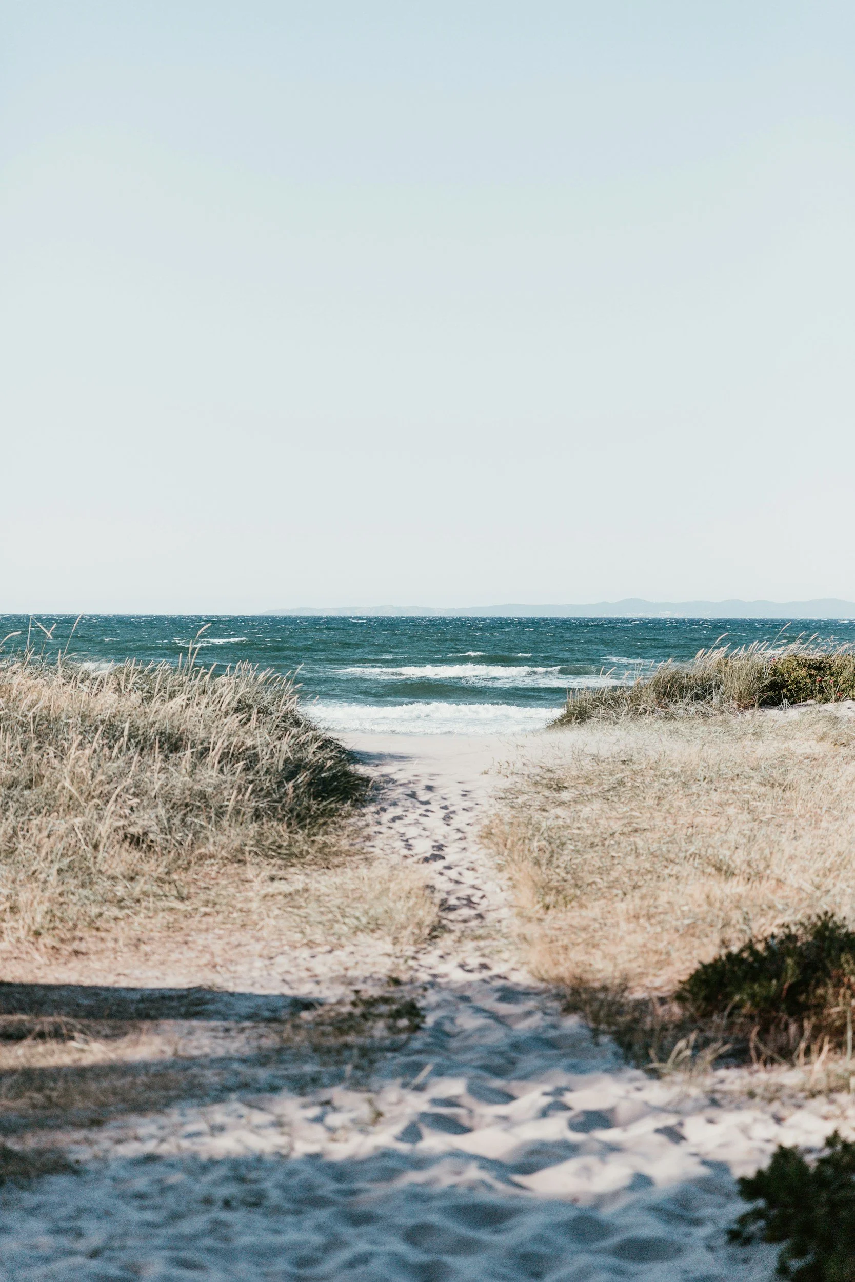A sandy beach path leading to the ocean, with grassy dunes on either side and clear blue sky above, representing a new path forward by participating in therapy.