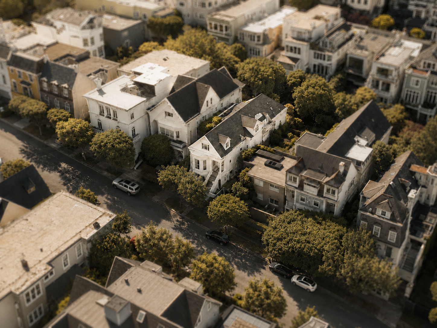 Aerial view of a residential neighborhood with various houses, trees, and parked cars along the street.