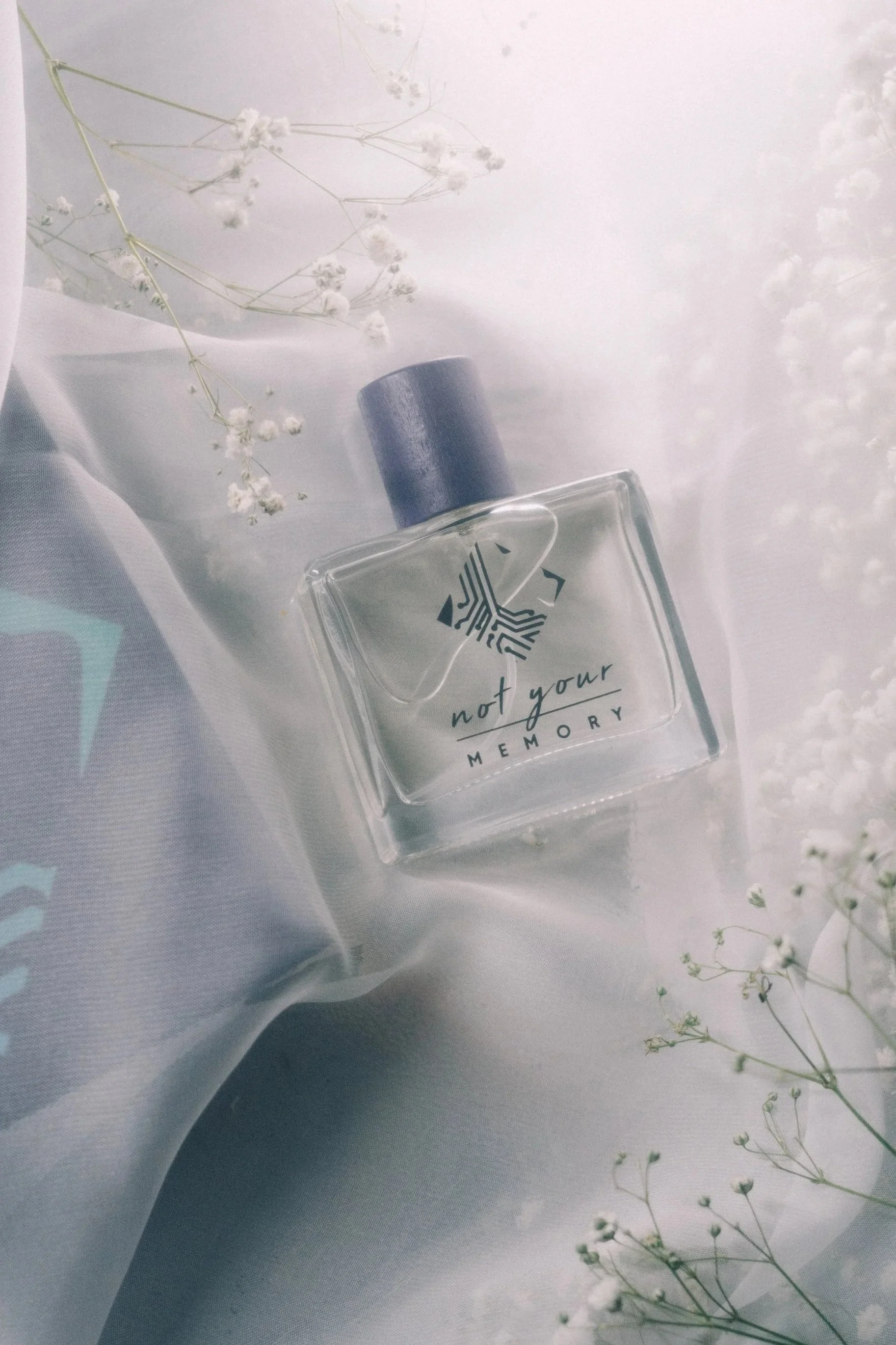 Day Dream (50ml)