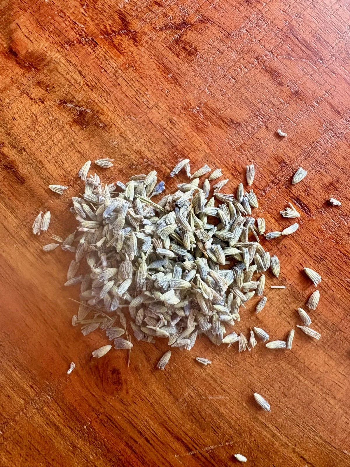 lavendar.jpg
