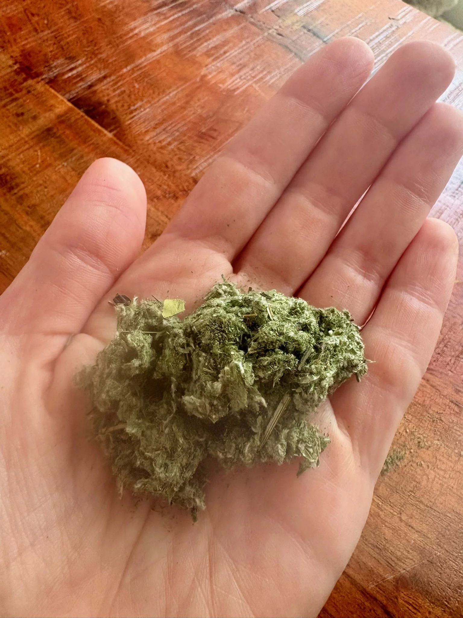 mugwort.jpg