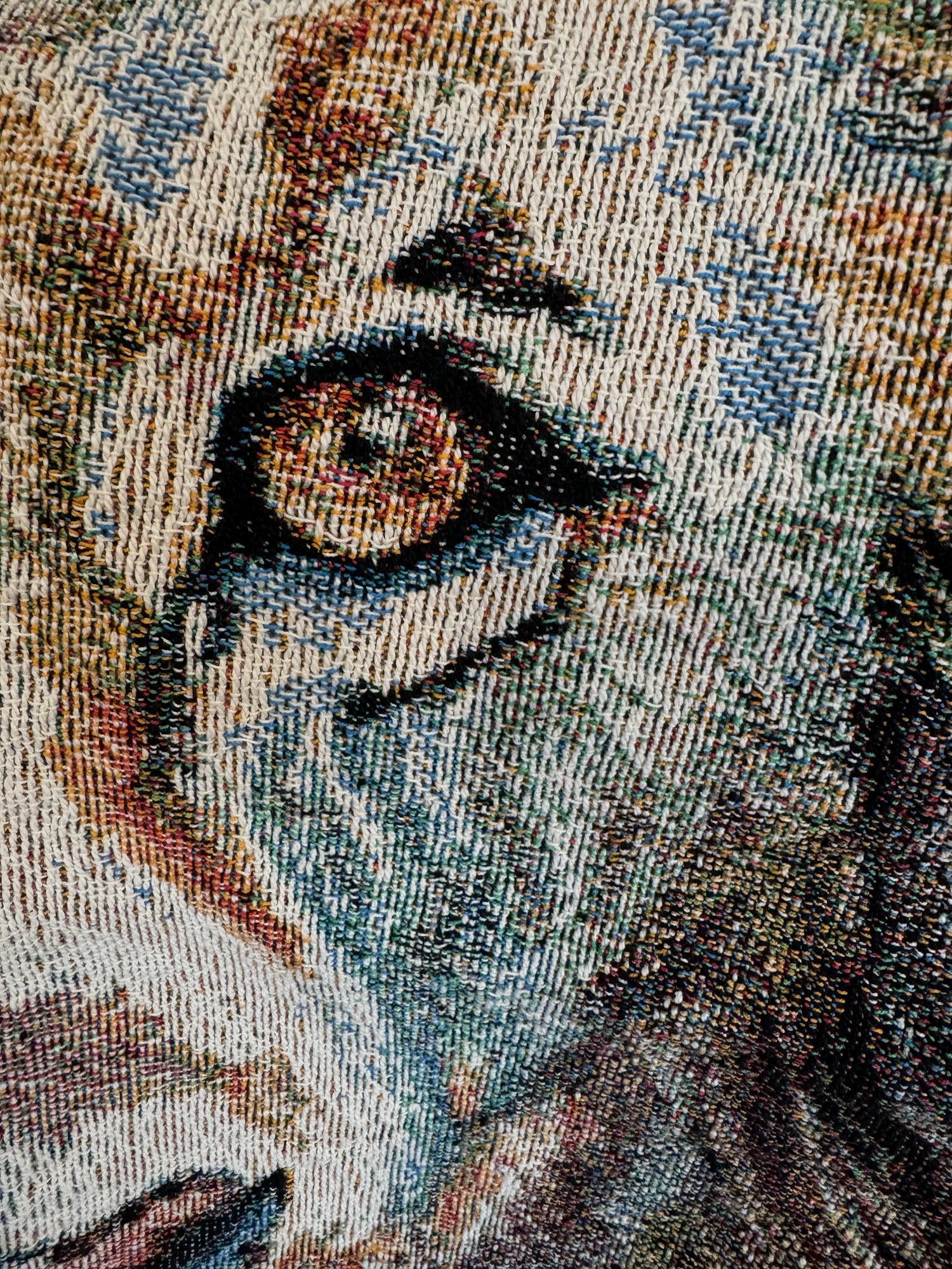 lion_blanket2_alishasimaginarium.jpg