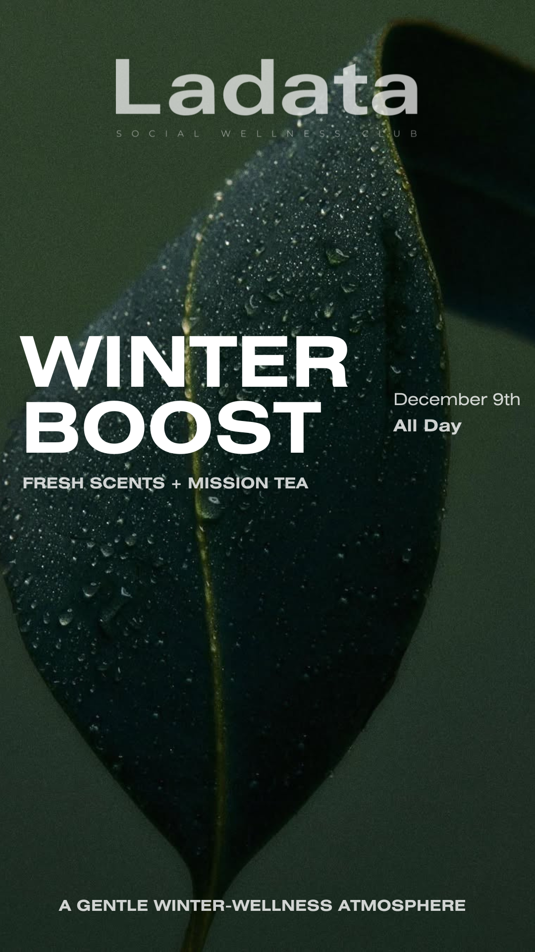 Winter Boost