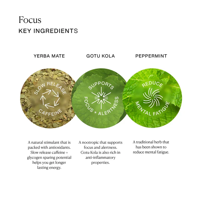 Focsu_tea_ingredients.webp