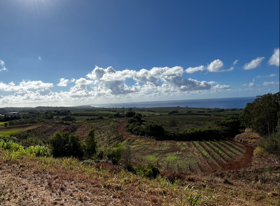 Screenshot 2024-02-27 211128.png