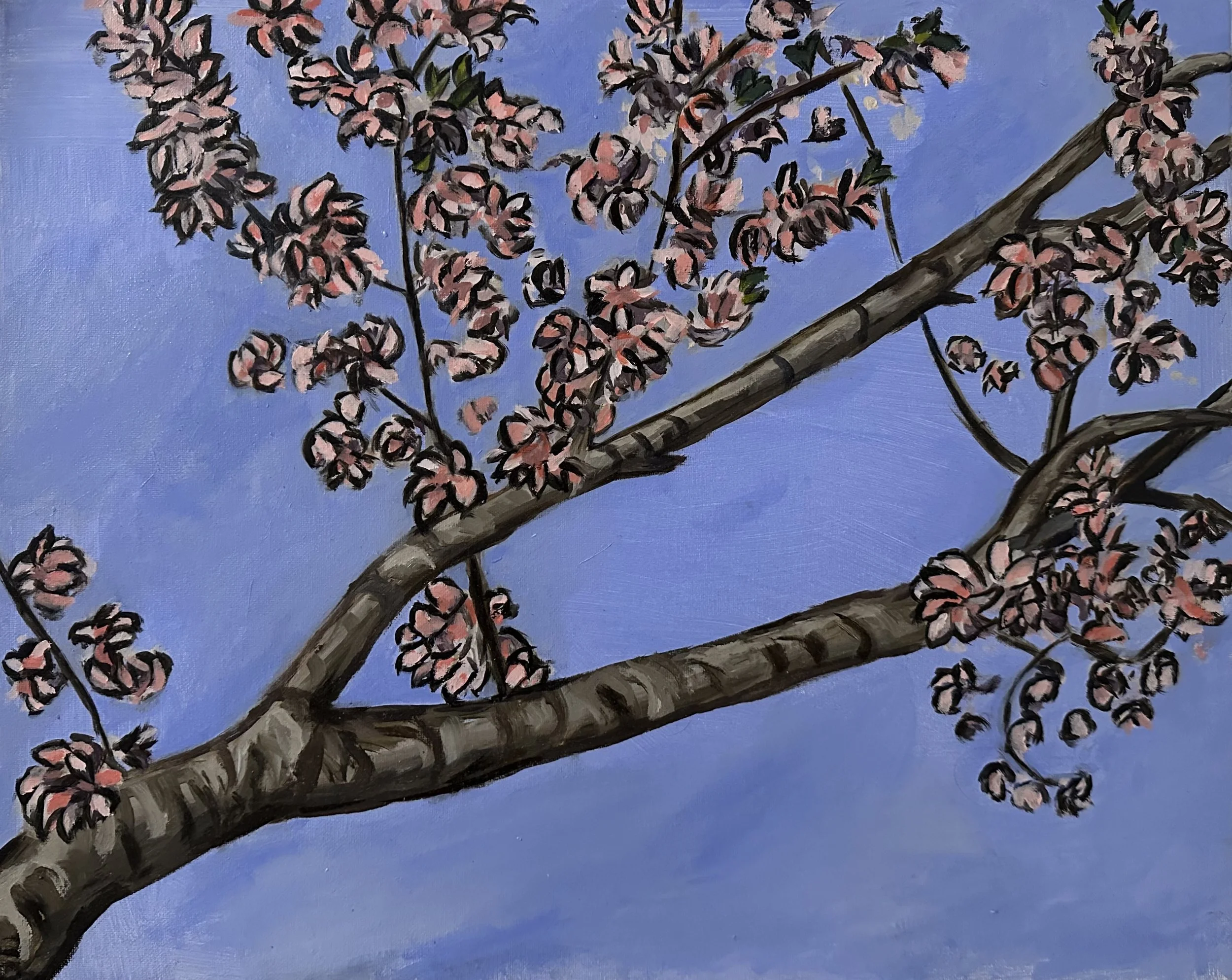 Drochak_Nile_CherryBlossomBranch.jpg
