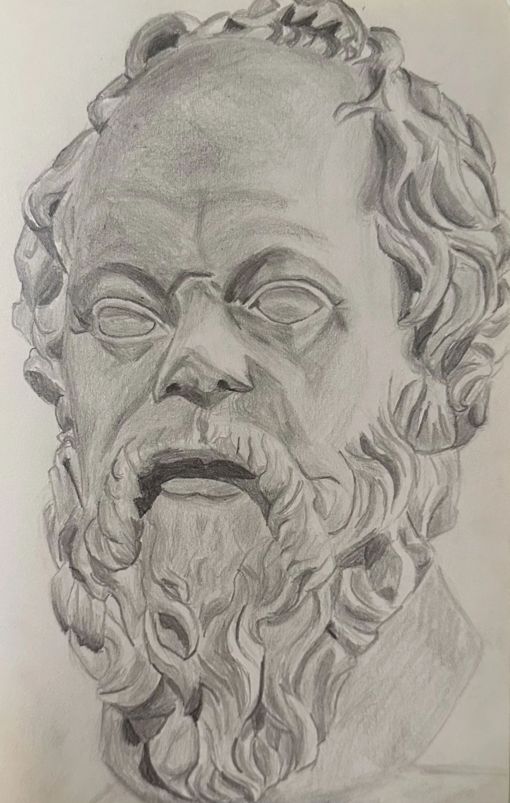 Bust of Socrates (2022) 8in x 5in - Pencil on Paper