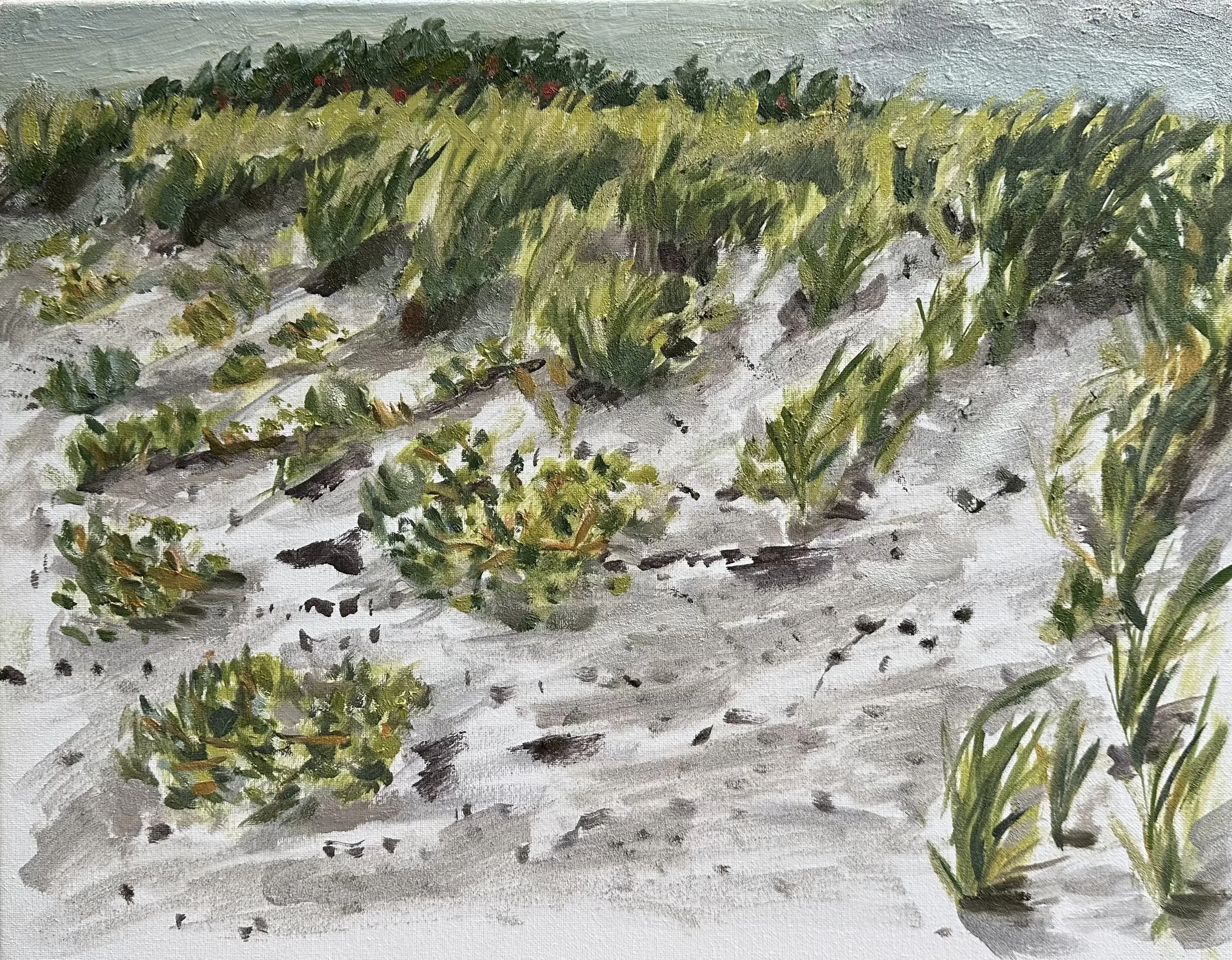 Beachside Grass (2023) 20in x 16in - Oil Paint on Canvas