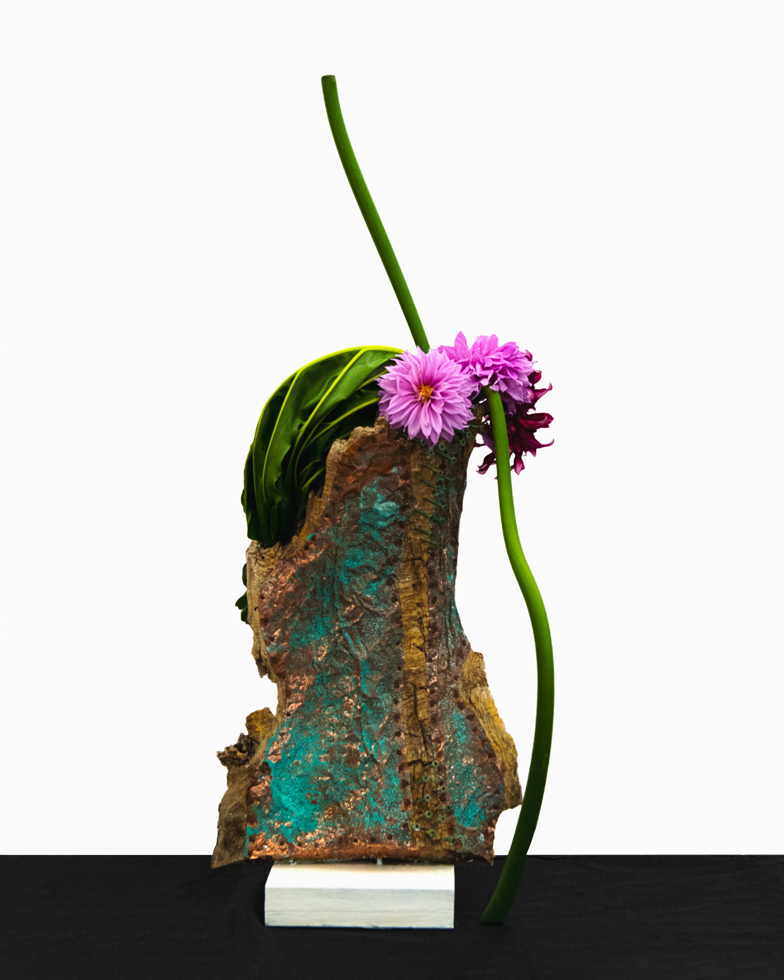 Dahlias- monthly workshop - Ikebana International Melbourne February 2026