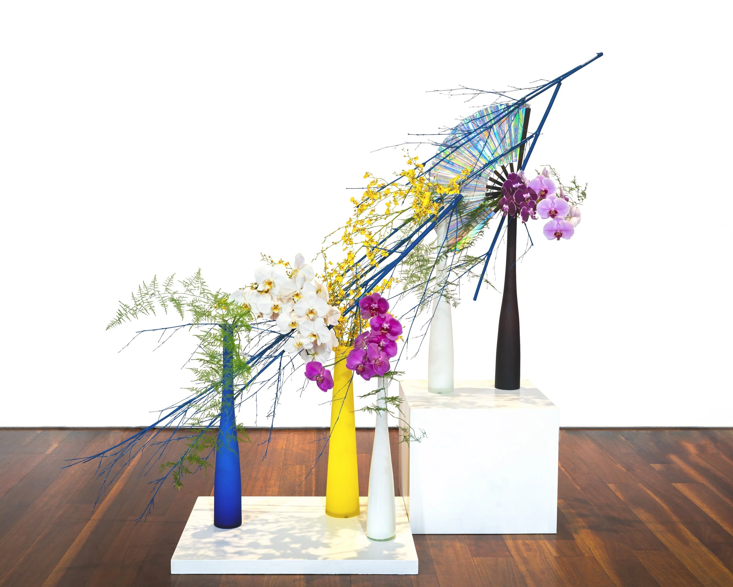 Sogetsu - Swann Lam