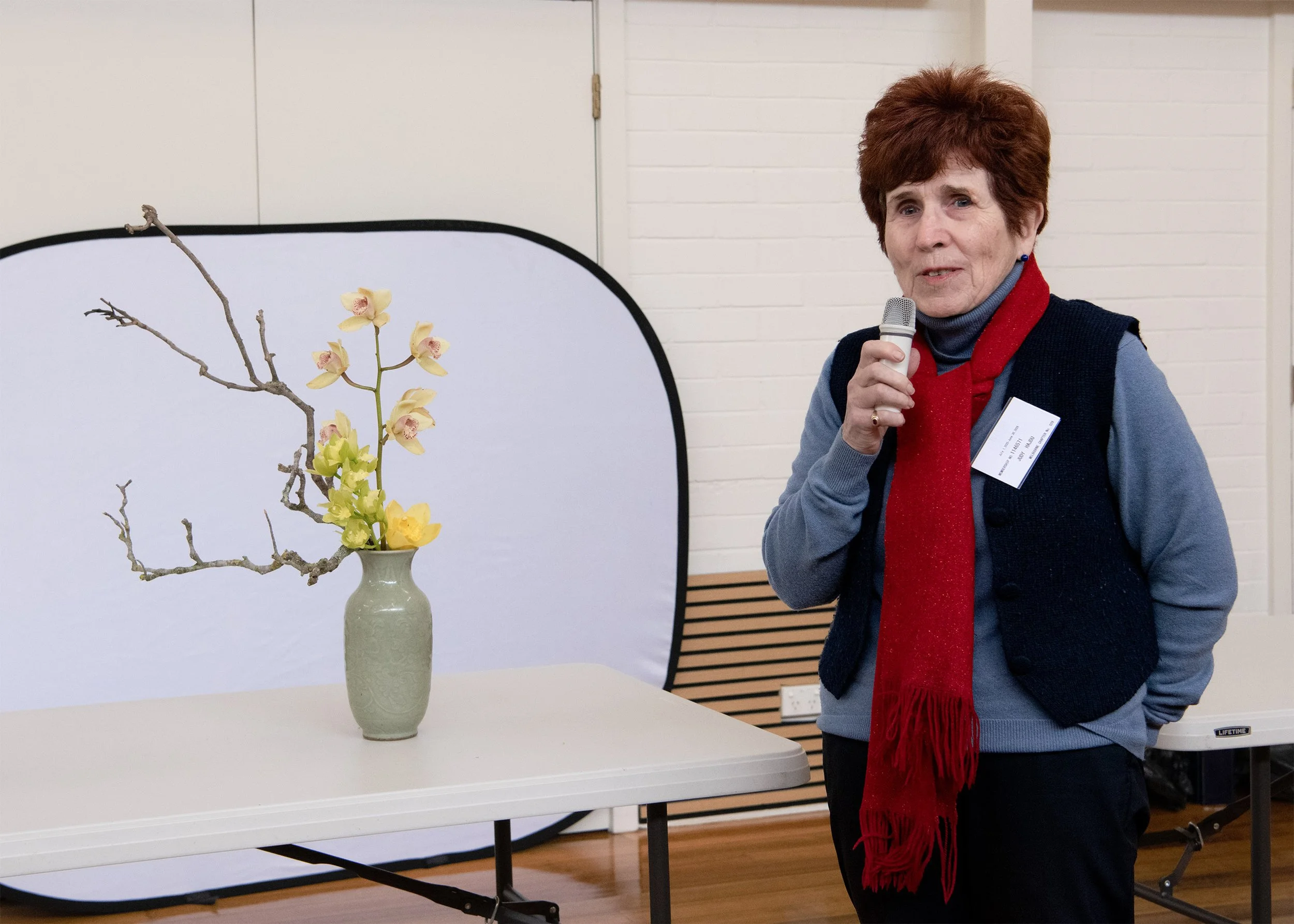 Judy Hajdu.jpg