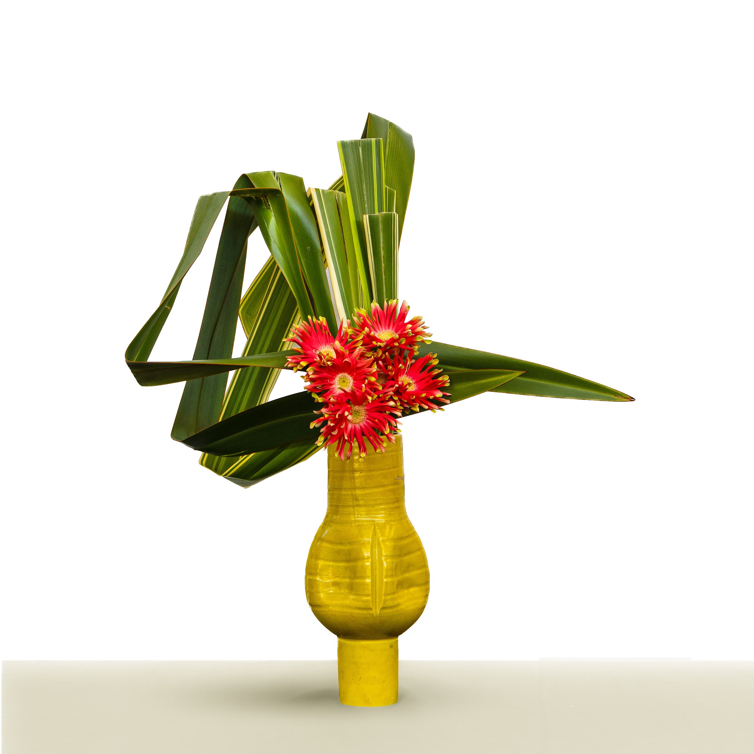 Chieko Yazakiu Demonstration Arrangement