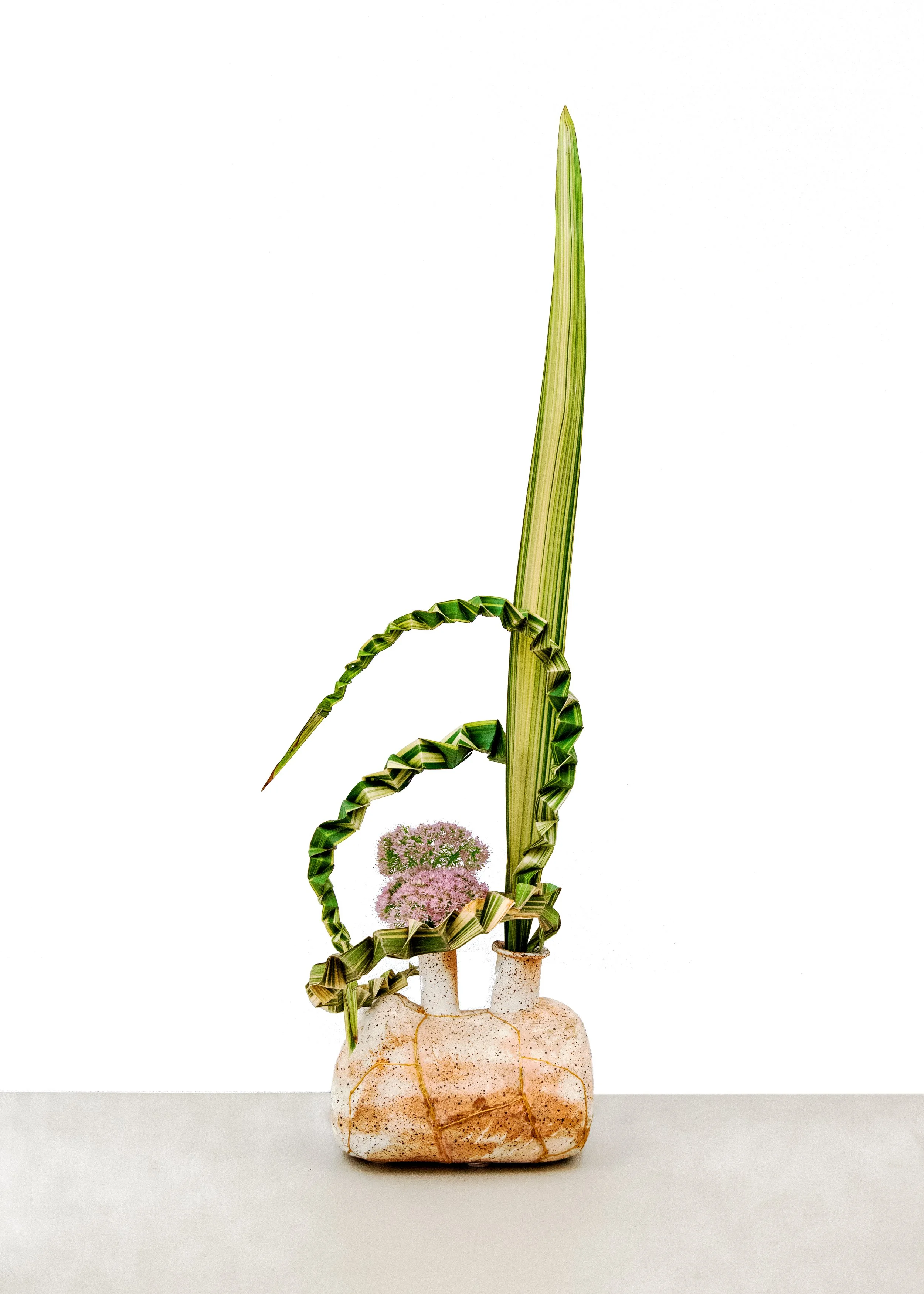 Tolua Karanikolopoulos