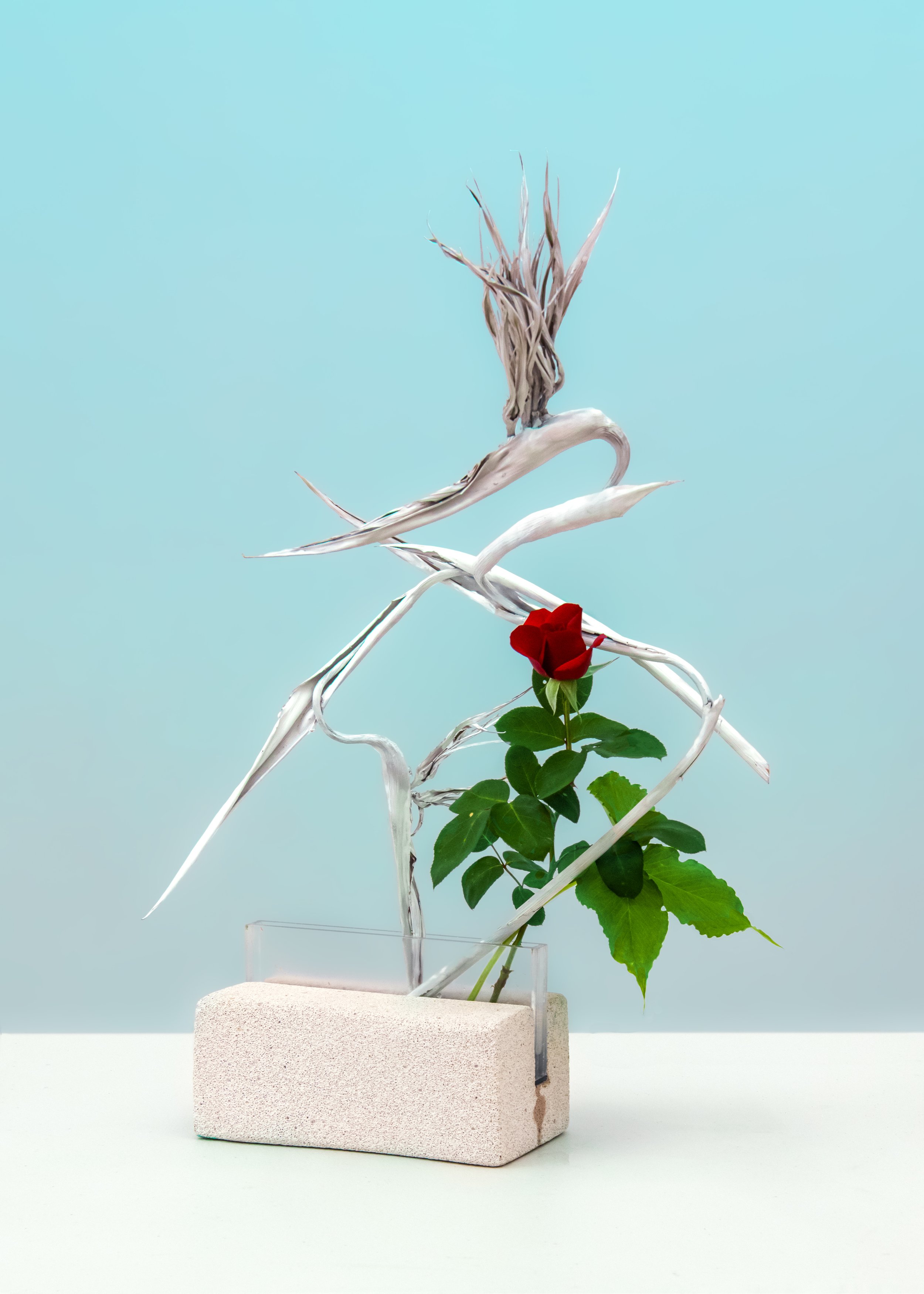 Betty Karanikolopoulos