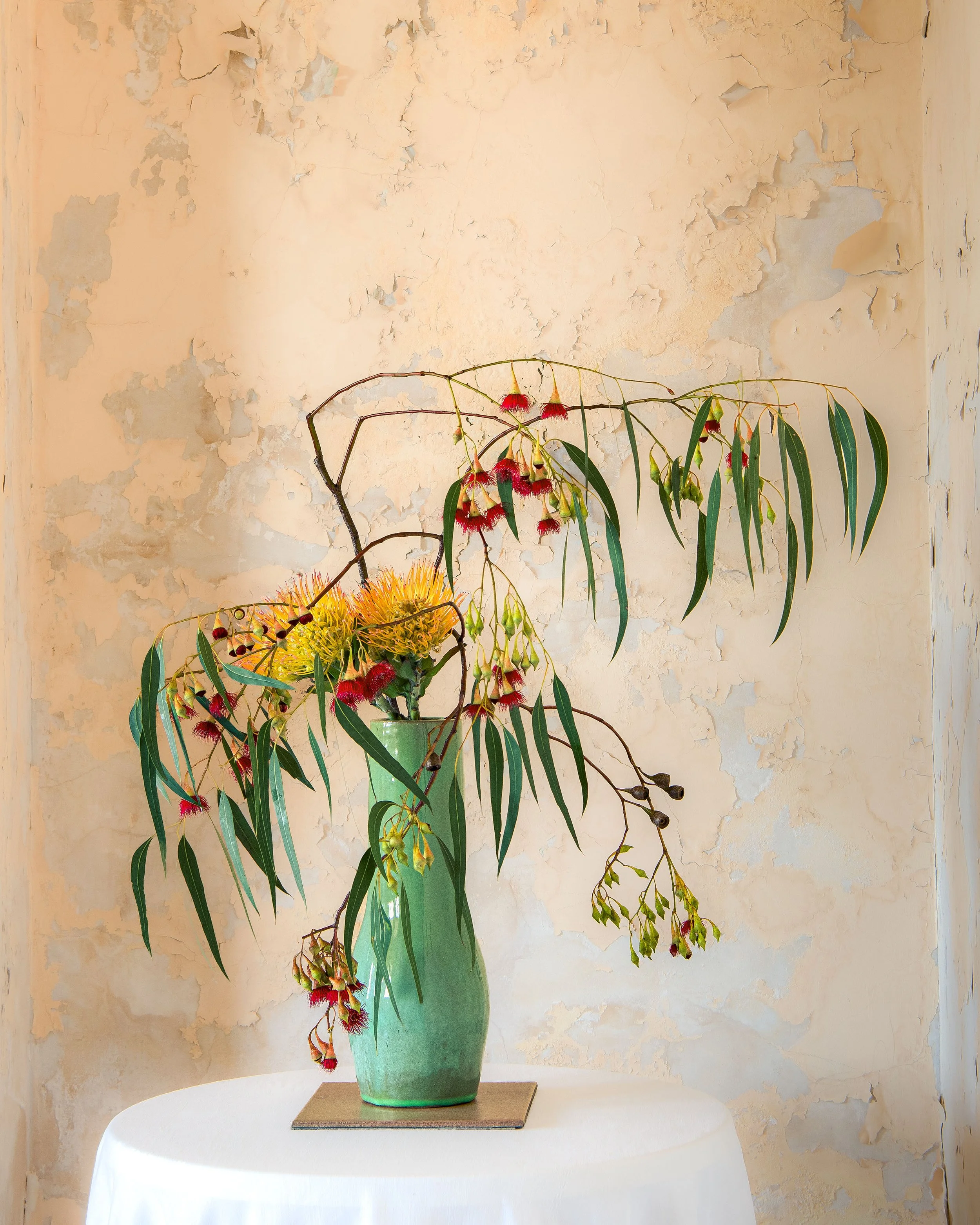 Jane Dorning