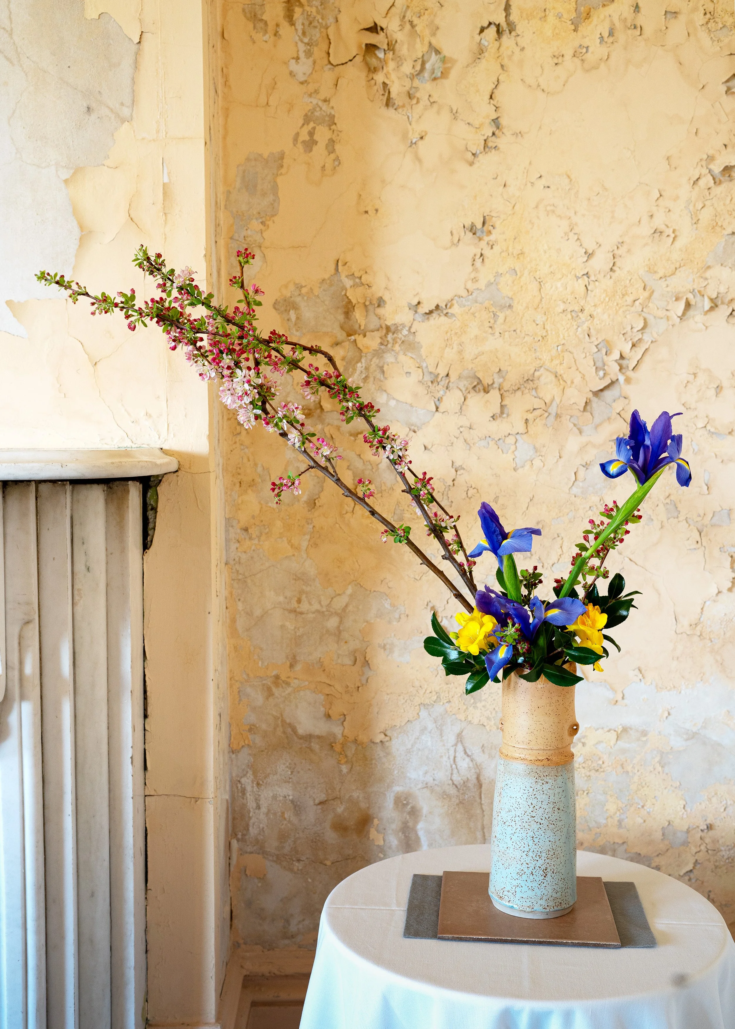 Jane Dorning