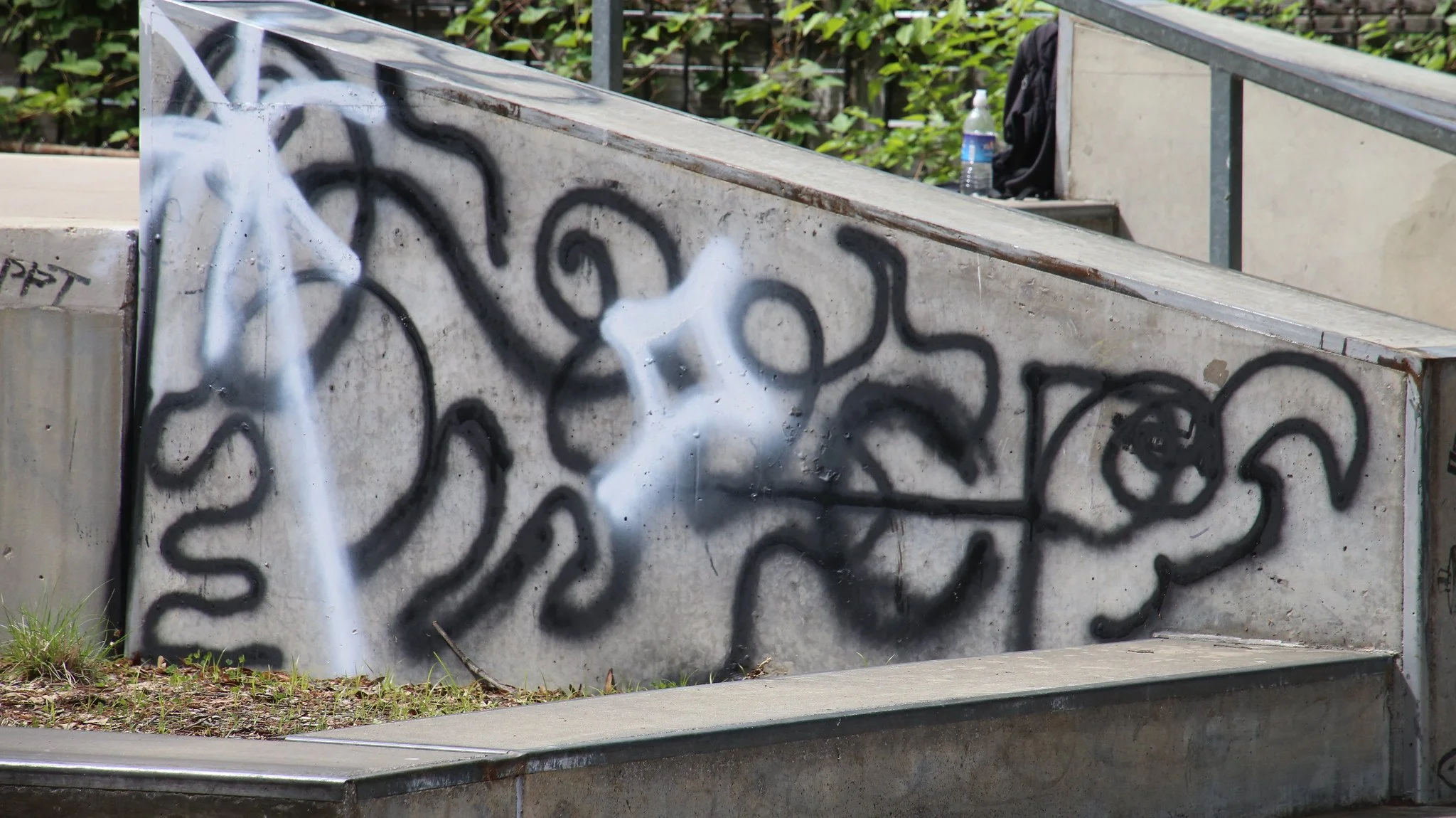 55265246381_ced590fd3b_k.jpg