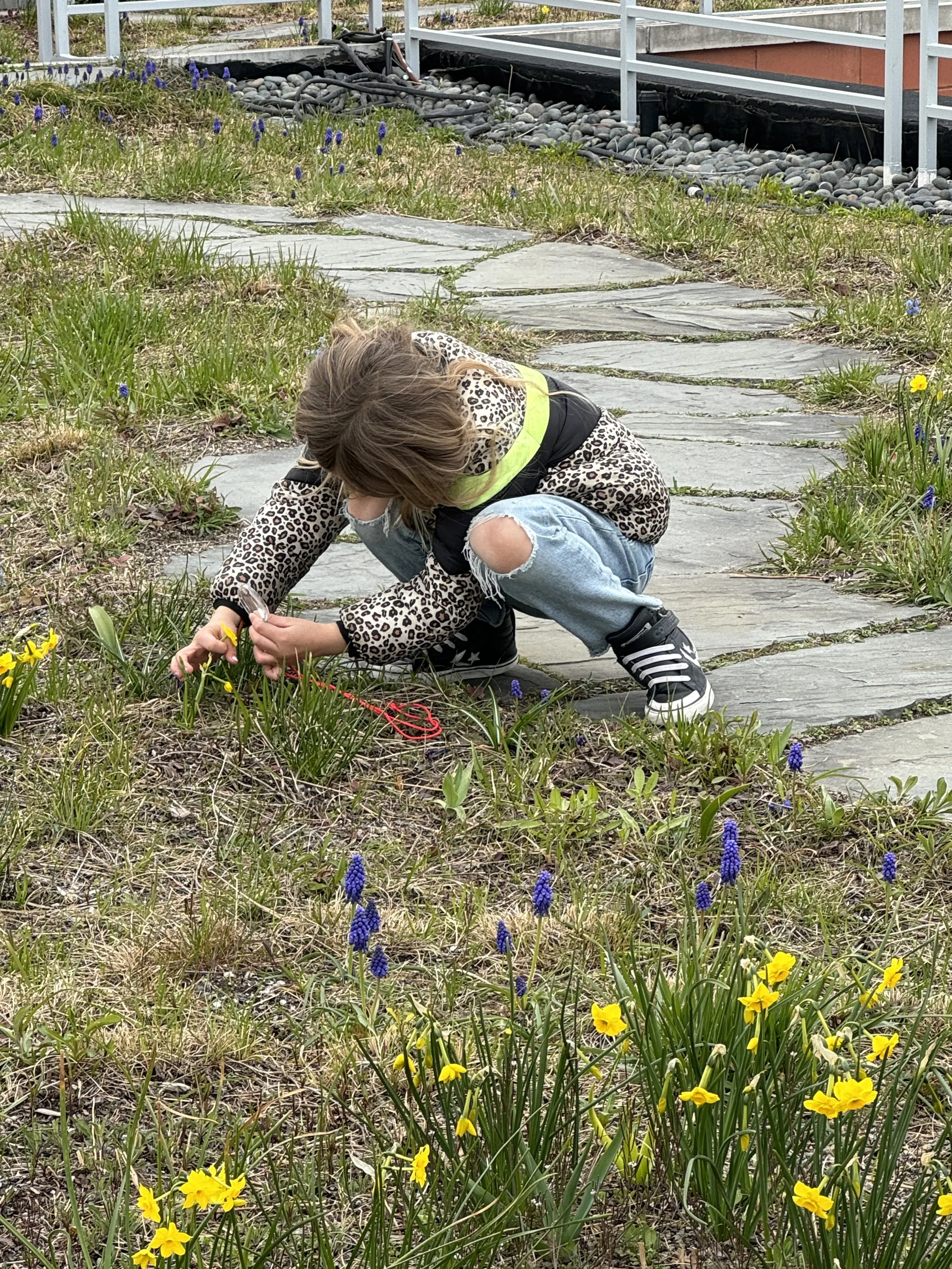 Transformative Educational Experiences.JPG