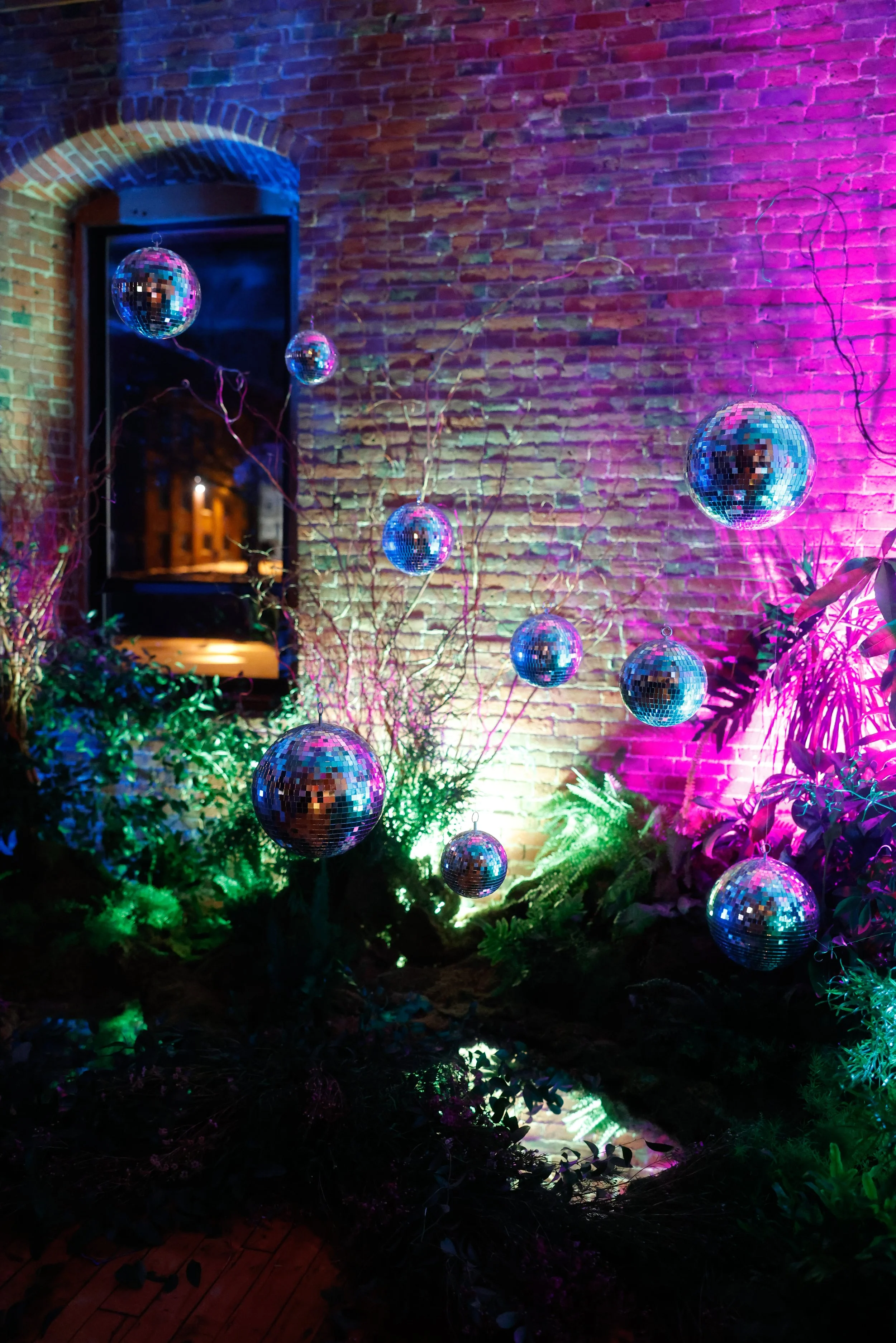 20250125-_63A1369 (1).jpg