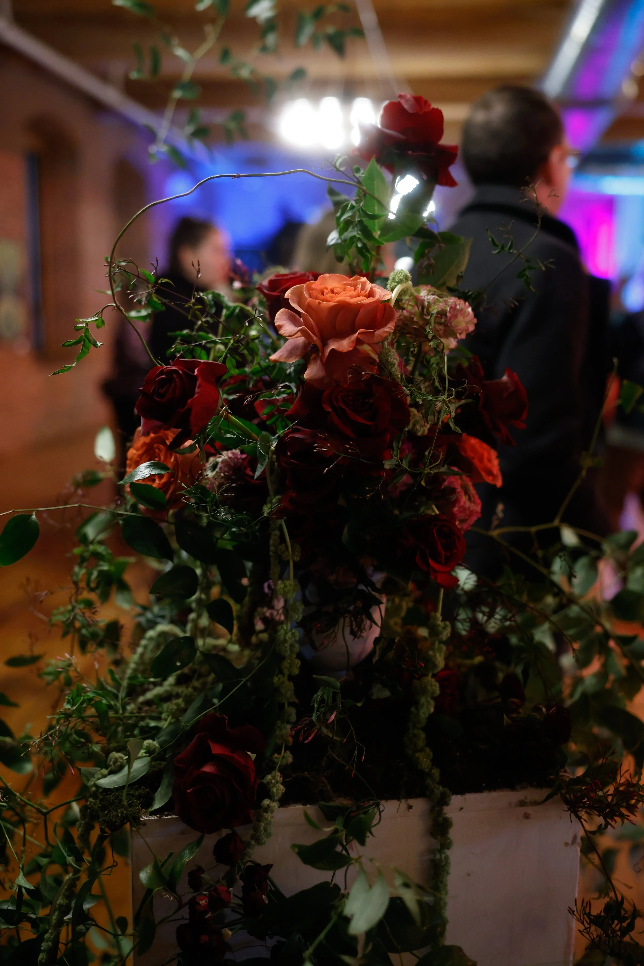 20250125-_63A0590 (1).jpg