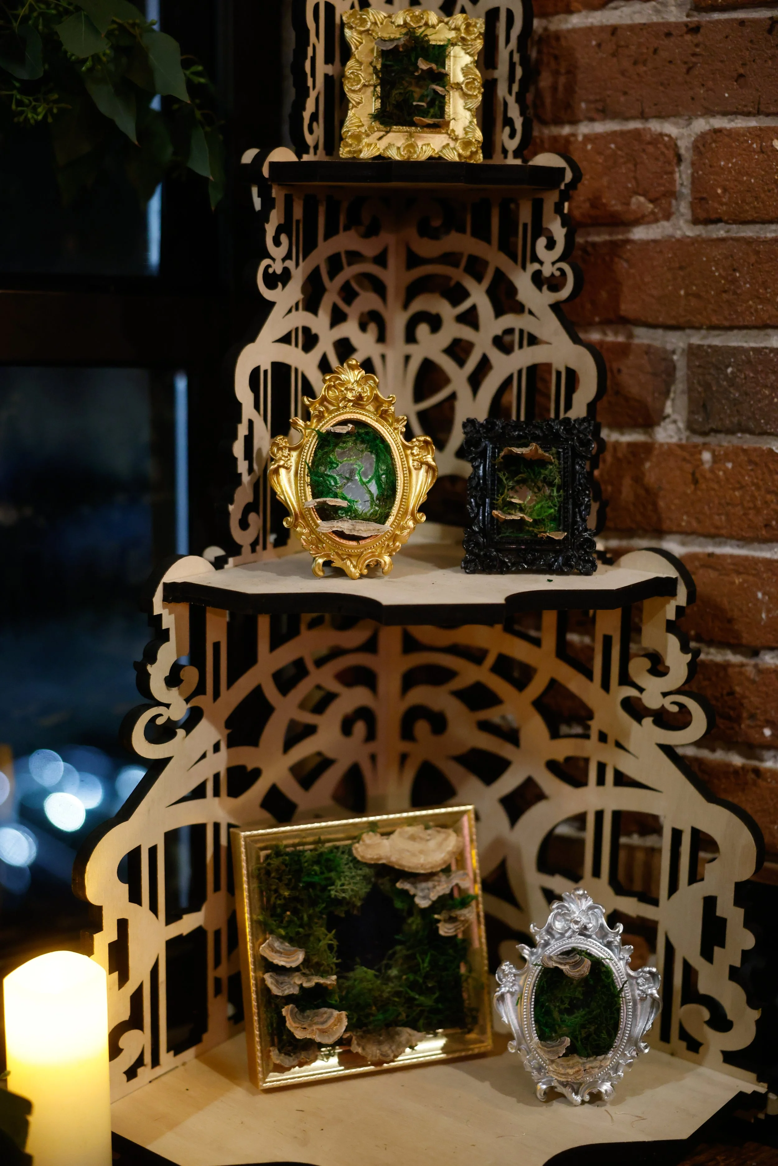 20250125-_63A0738 (1).jpg