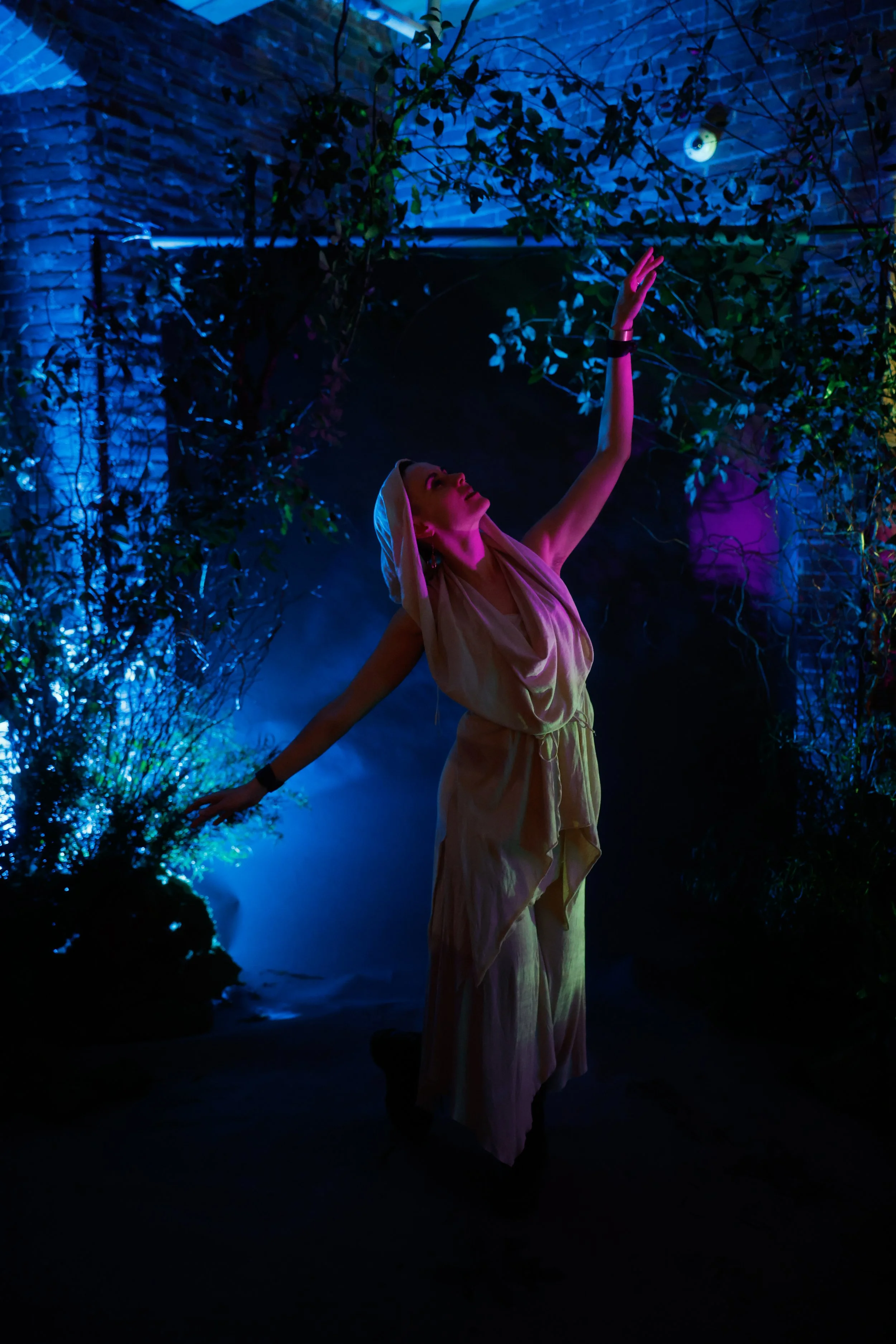 20250125-_63A1781 (1).jpg